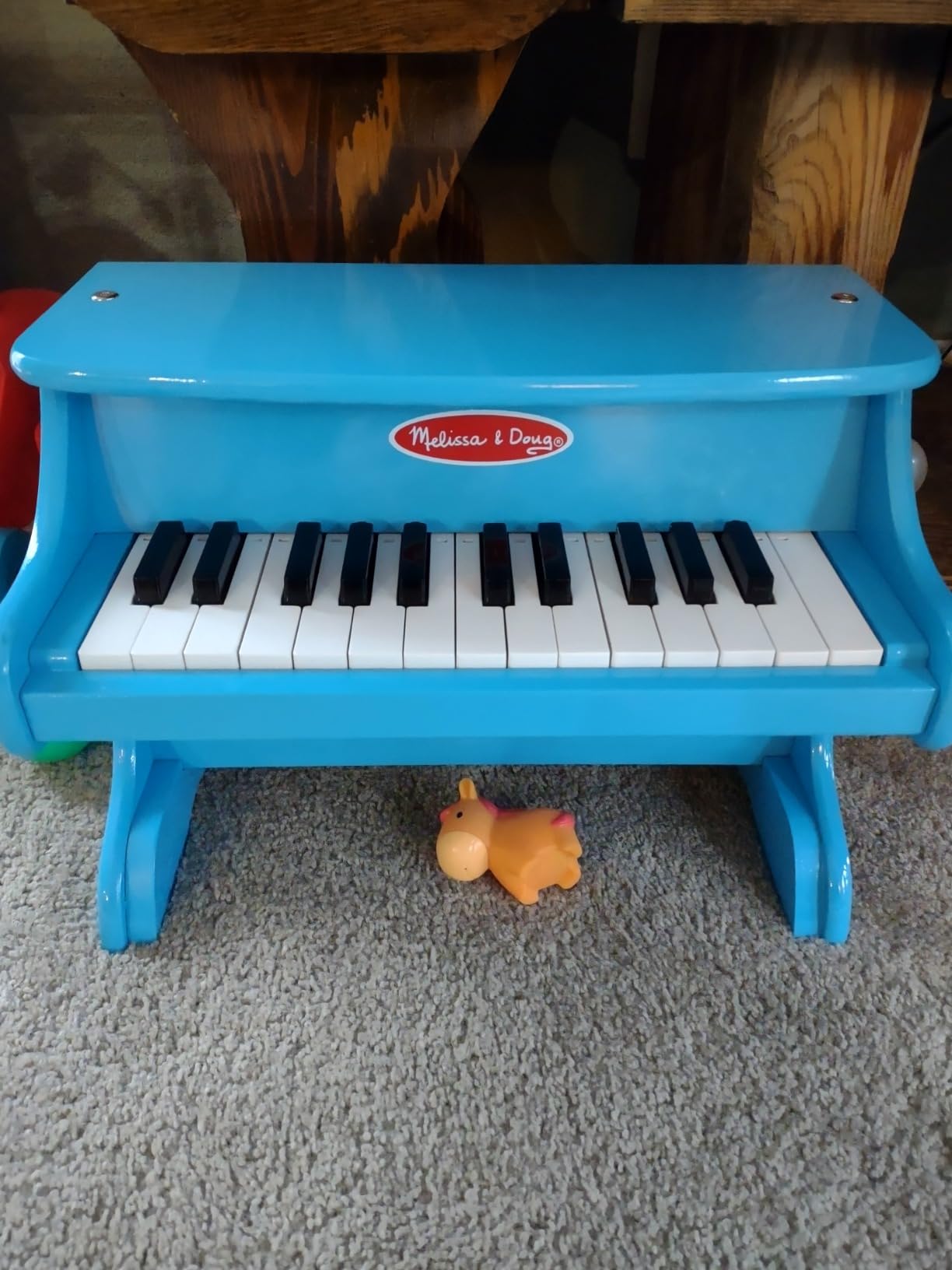 Melissa & Doug Learn-to-Play Piano with 25 Keys and Color-Coded Songbook - Blue customer photo 1