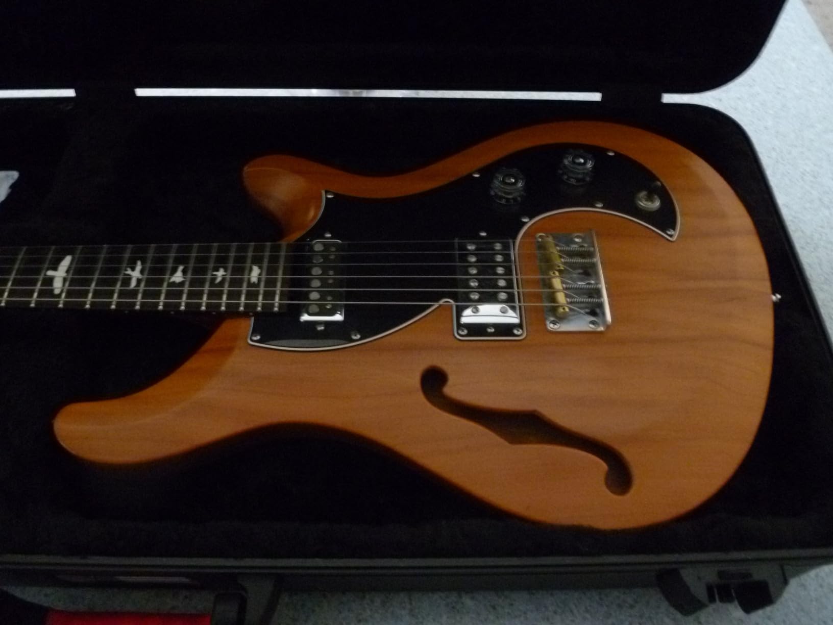 Gator Cases Molded Flight Case for Strat/Tele Style Electric Guitars with TSA Approved Locking Latch (GTSA-GTRELEC) customer photo 2