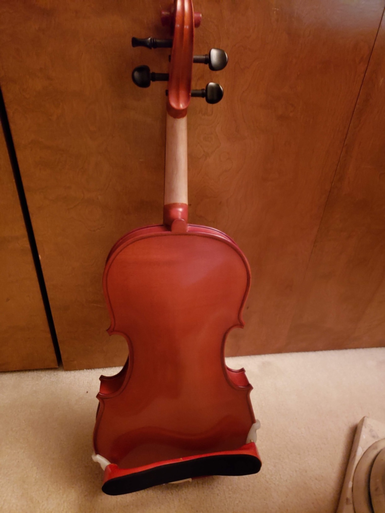 D Z Strad viola Model 101 with Strings, Case, Bow, Shoulder Rest, and Rosin (16