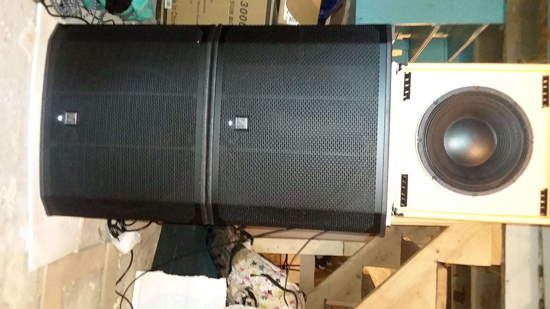 Electro Voice EKX-18SP 18-inch 1300W Powered Subwoofer, Cardioid (Black) customer photo 1