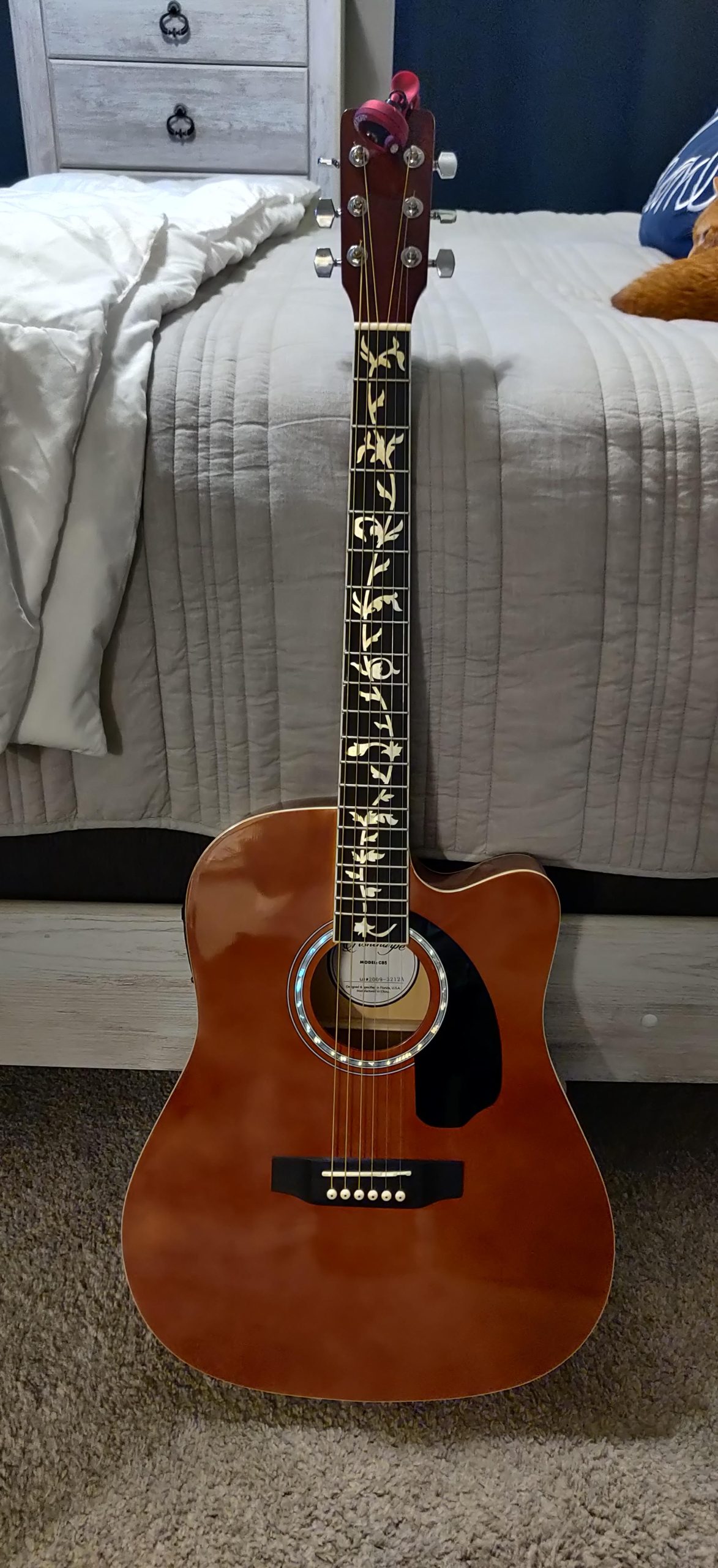 Ashthorpe Full-Size Cutaway Thinline Acoustic-Electric Guitar Package - Premium Tonewoods - Blue customer photo 2