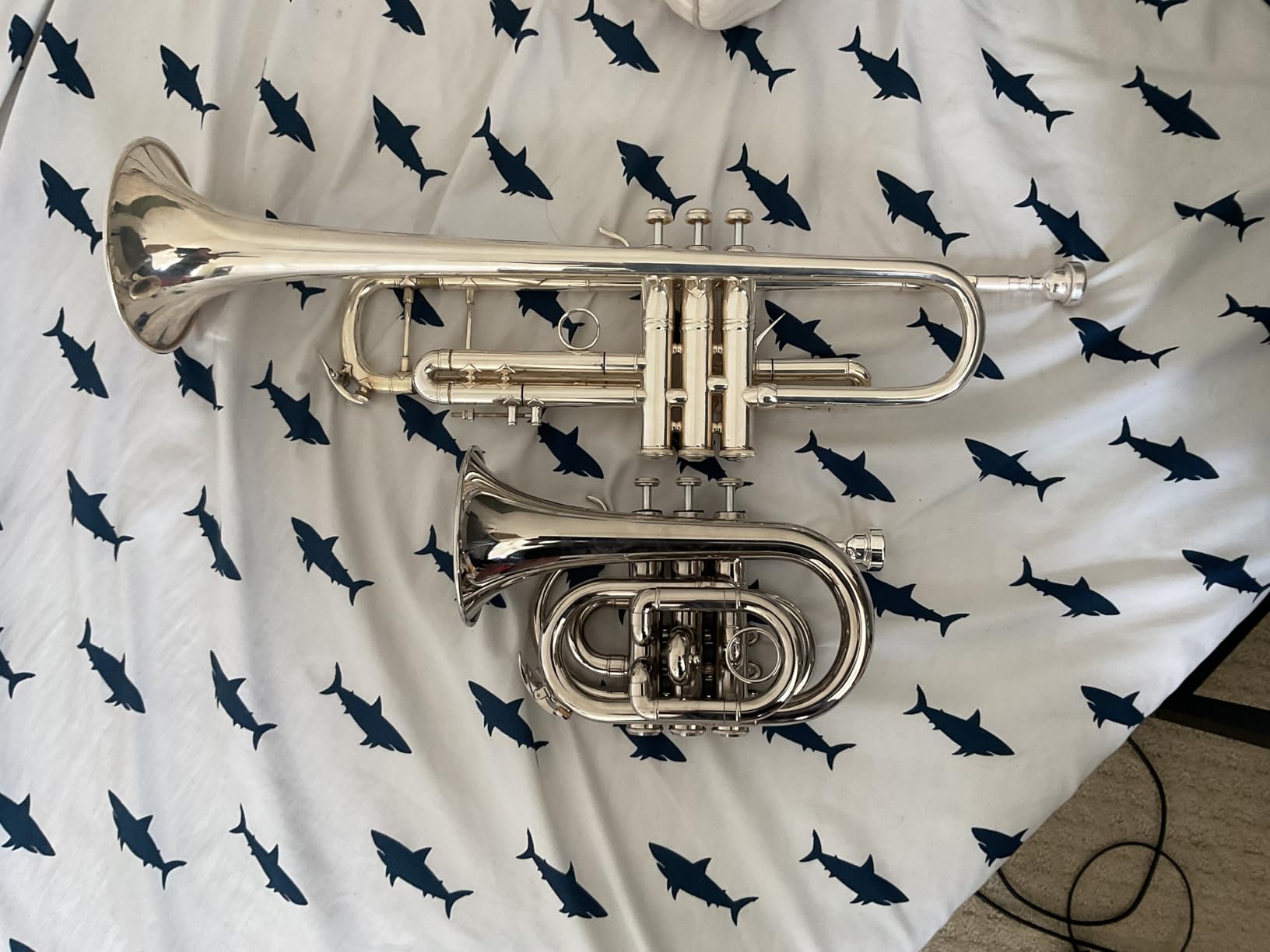 Eastar Pocket Trumpet B Flat for Beginners Students, Brass Trumpet Mouthpiece 7C, Cleaning Kit, Hard Case, Gloves, ETR-330N, Nickel customer photo 1