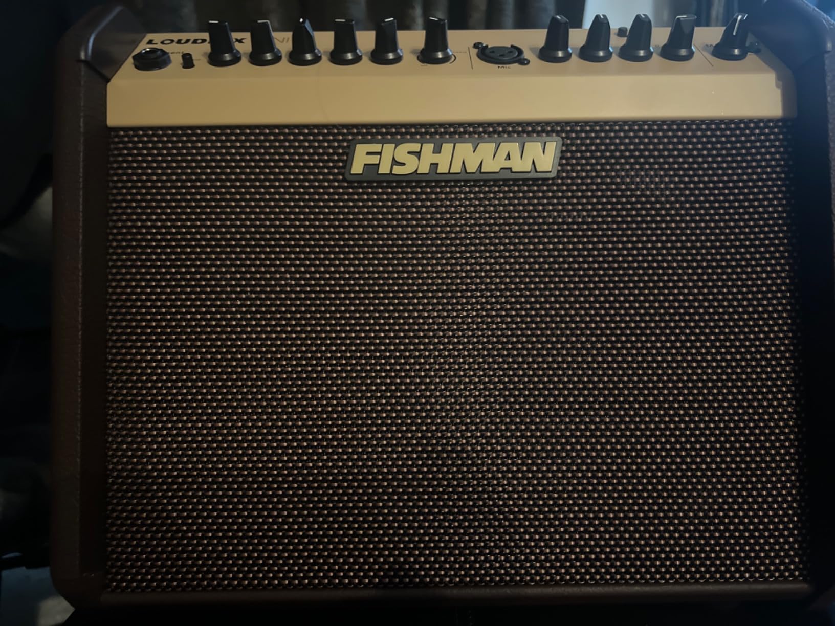 Fishman Acoustic Guitar Amplifier (PRO-LBT-500) Loudbox 500 customer photo 1