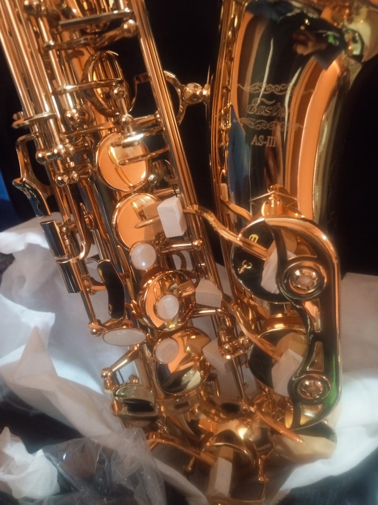 Eastar Professional Alto Saxophone Golden E Flat Eb with Cleaning Kit, Carrying Case, Mouthpiece, Neck Strap, Reeds, Stand, AS-III customer photo 2
