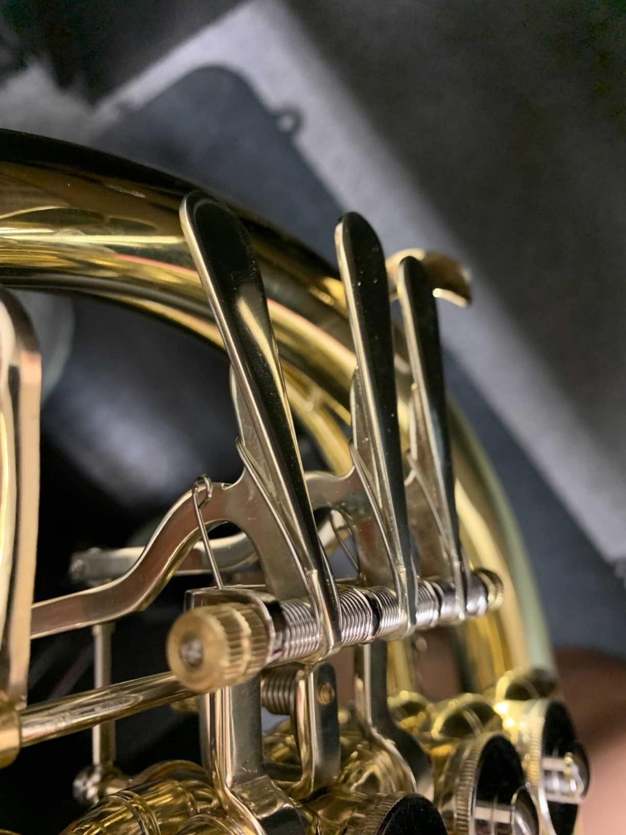 ROWELL Double French Horn, F/Bb 4 keys Intermediate French Horn, Gold Lacquer F French Horn With Case, Mouthpiece Gloves and Polishing Cloth customer photo 1