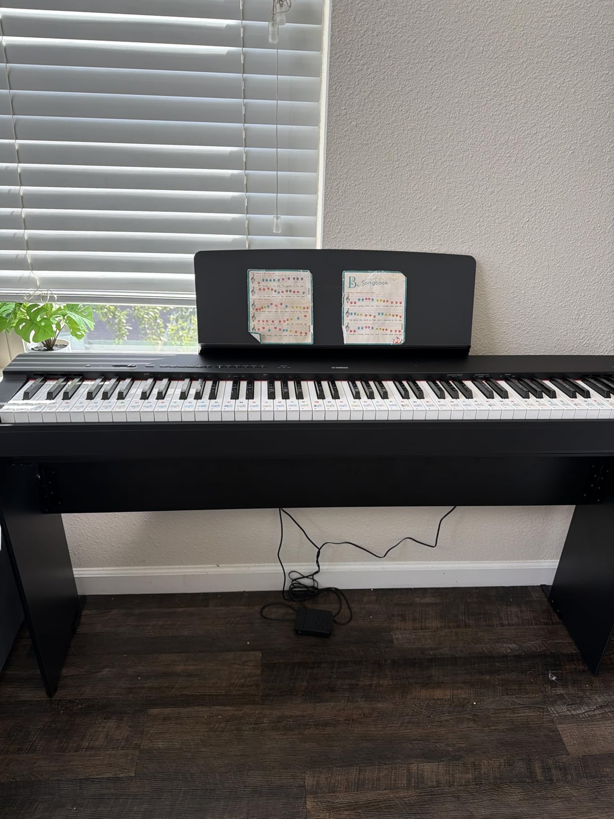 Yamaha P225 88-Key Digital Piano with Weighted Keys, Portable Design, Keyboard, Music Rest, Sustain Foot Switch, and Built-In Speakers, Black (P225B) | Yamaha Cfx Tones, 192-Note Polyphony, Built-in Speakers, Includes Music Rest and Sustain Switch customer photo 2