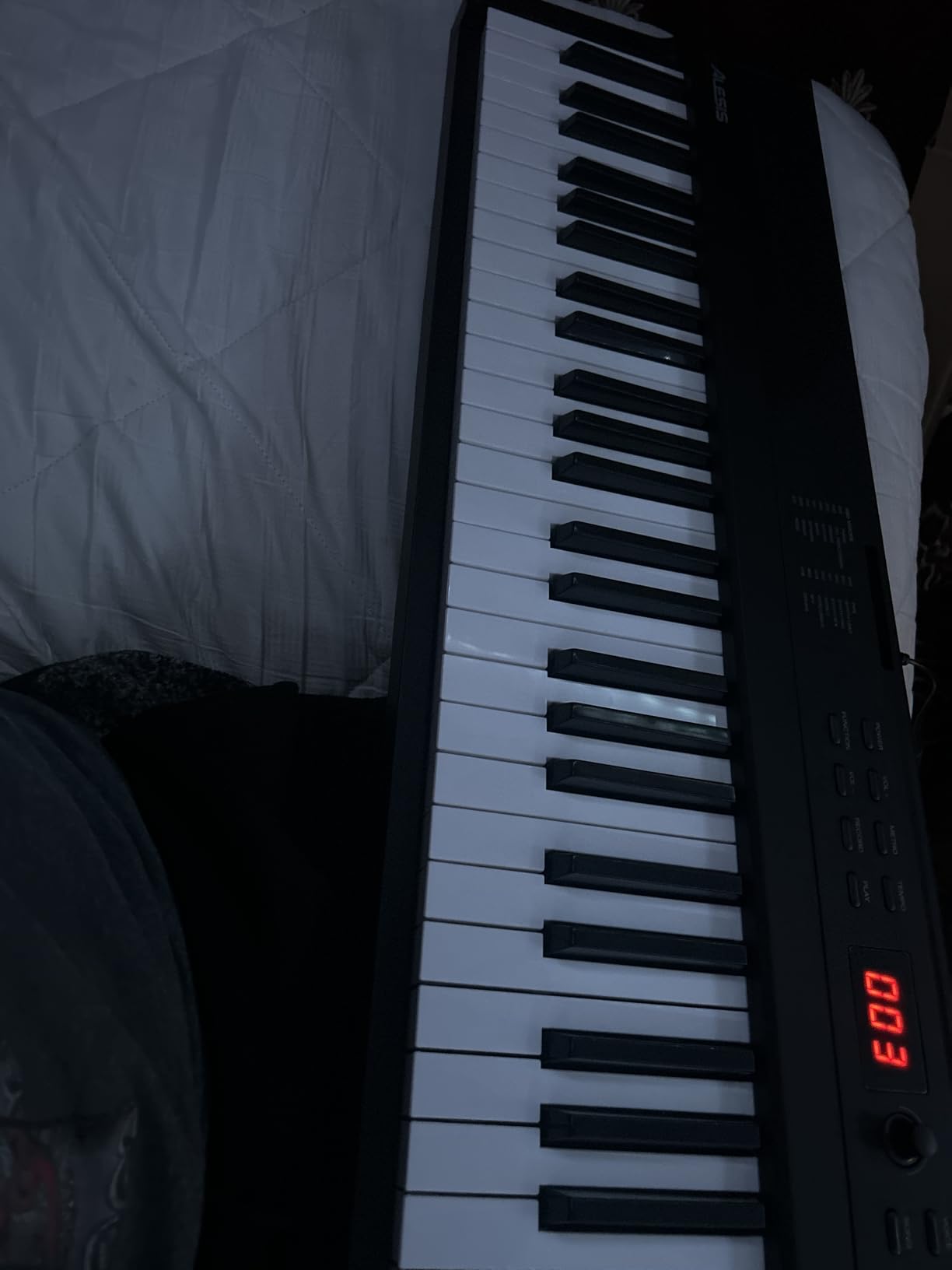 Alesis Recital Play 88-Key Piano Keyboard Bundle | Portable, 480 Voices, Split/Layer Modes, Includes Lessons, Stand, Sustain Pedal, Headphones, Carry Bag customer photo 1