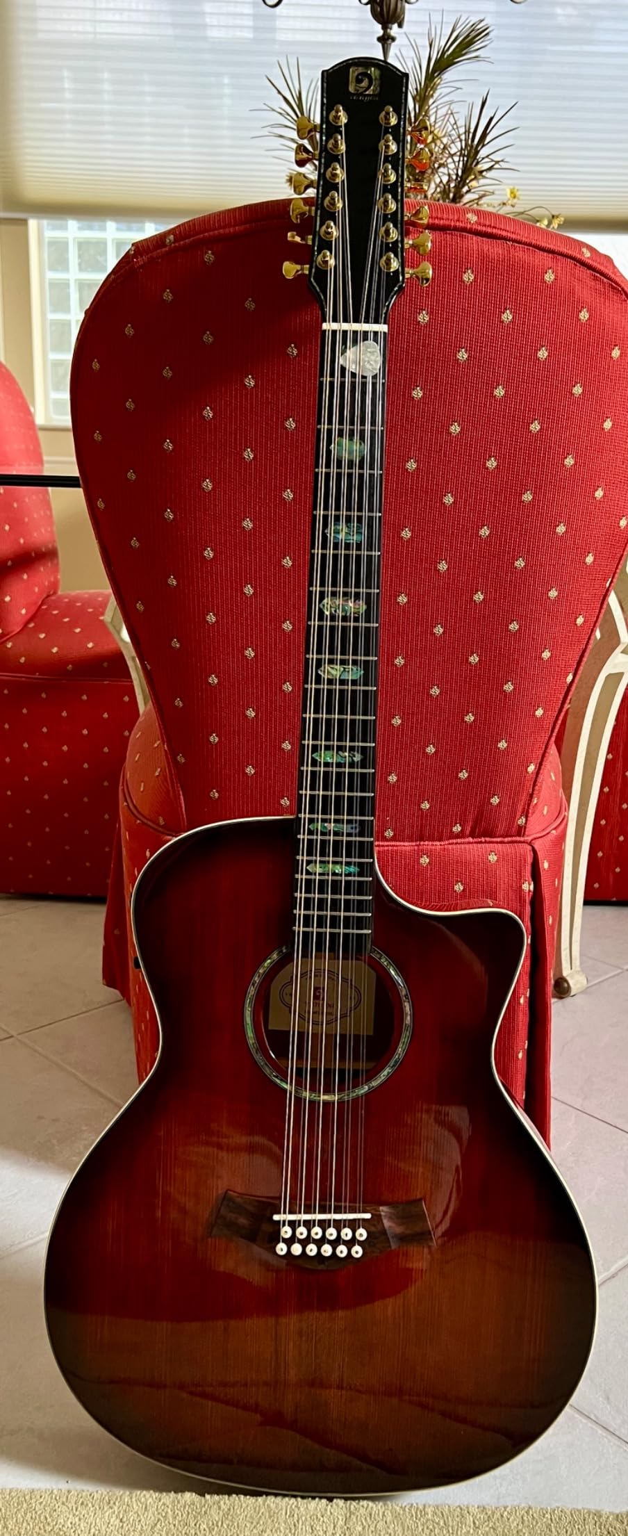 Vangoa 12 String Guitar Solid Wood, Twelve String Acoustic Electric Guitar Kit with Premium Spruce Top, Mahogany Body, Upgraded EQ, Bone Nut, Saddle, Classical Brown customer photo 2
