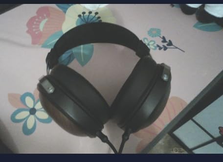 FiiO FT1 32Ω Large Dynamic Driver Headphones with Solid Wood Cups customer photo 1