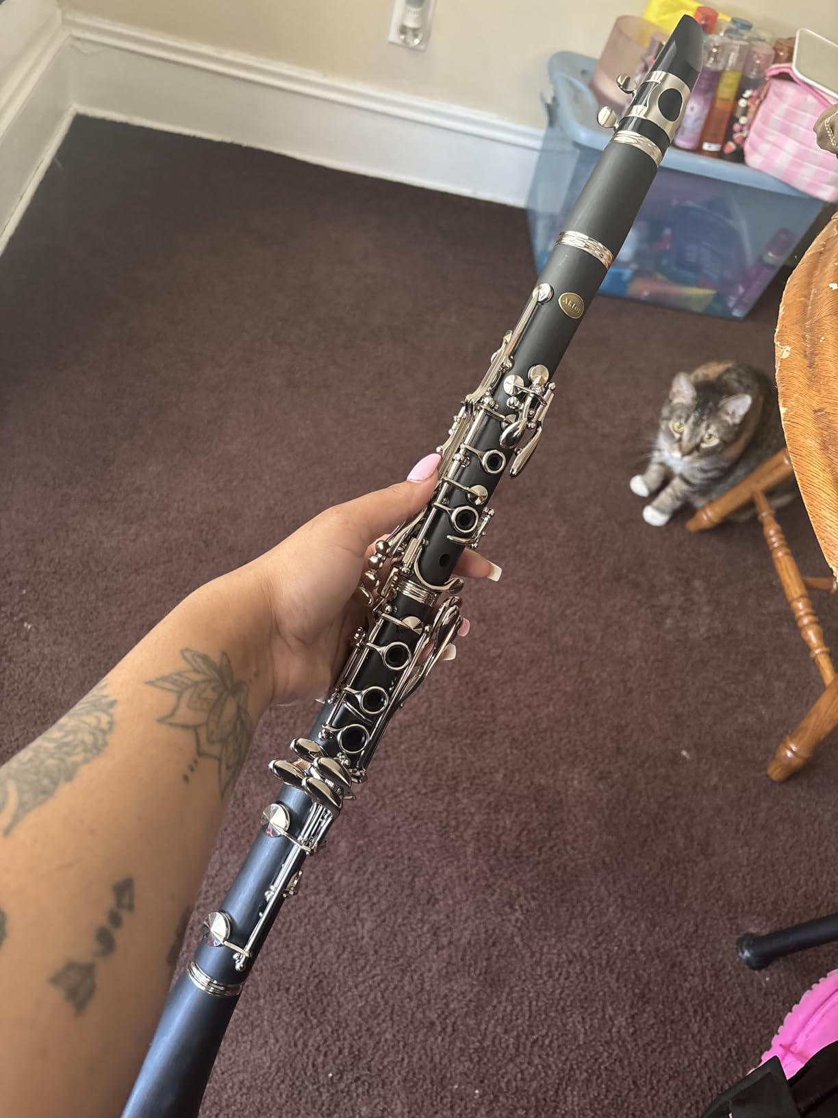 AKLOT B Flat Concert Clarinet: Precision Tone Hole Design for Stable Intonation, Durable Gold-Plated Keys, Including Leather Hard Case, Barrel, Stand, Full Cleaning Kit (Aria-AG) customer photo 1