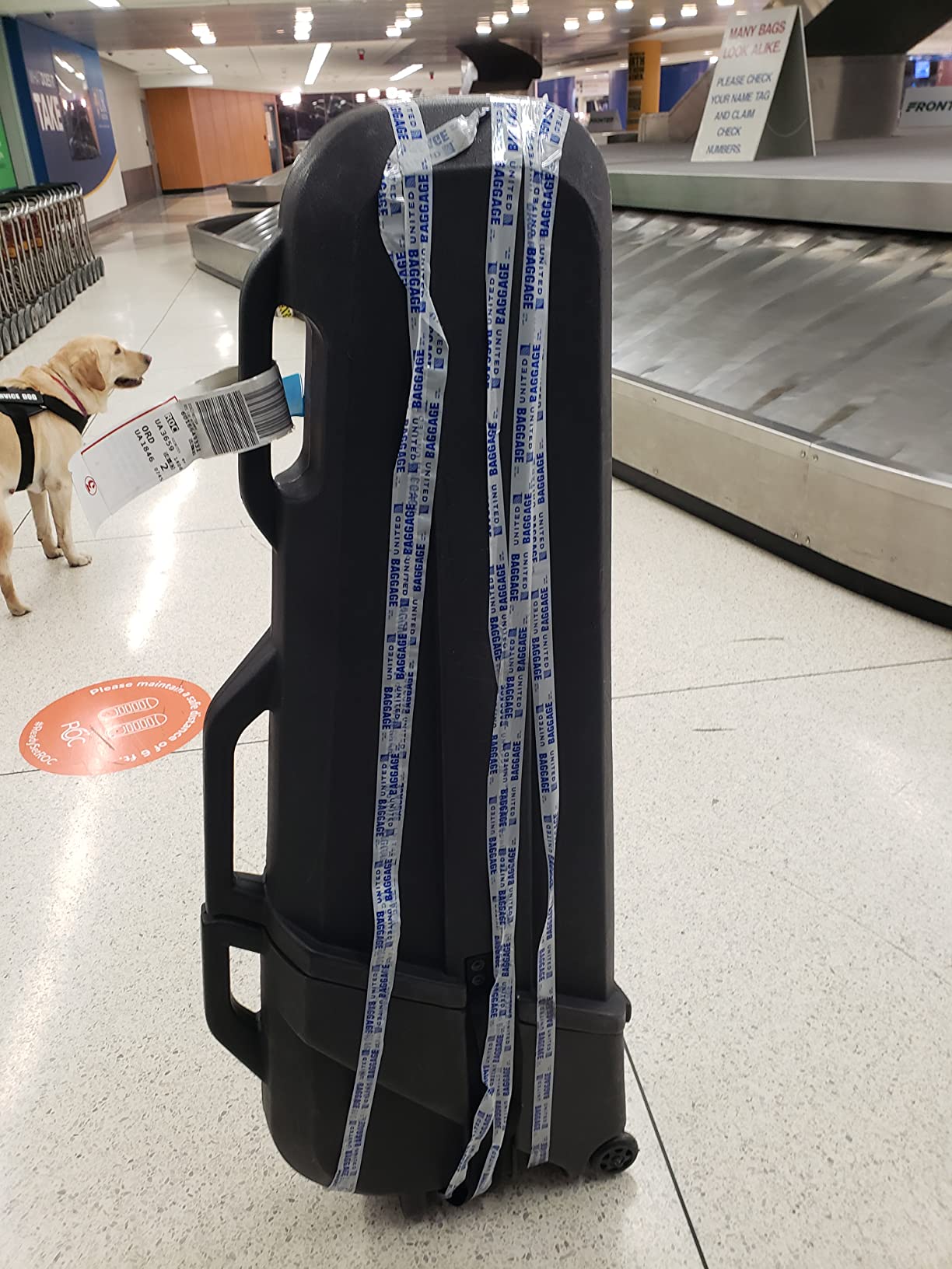 SKB ATA Roto Molded Electric Bass Guitar Hard Case with TSA Locking Latches, Wheels for Easy Transport and Ergonomic Handle, Black customer photo 2