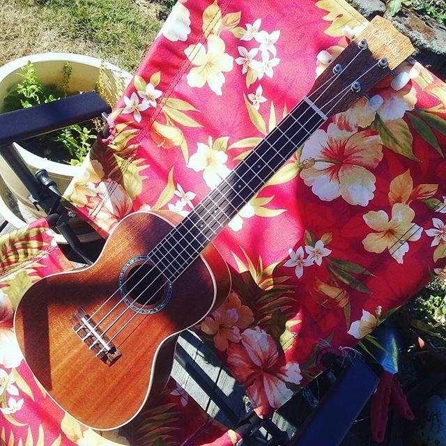 Cordoba 15CM Concert Ukulele - Hand Crafted With Mahogany customer photo 2