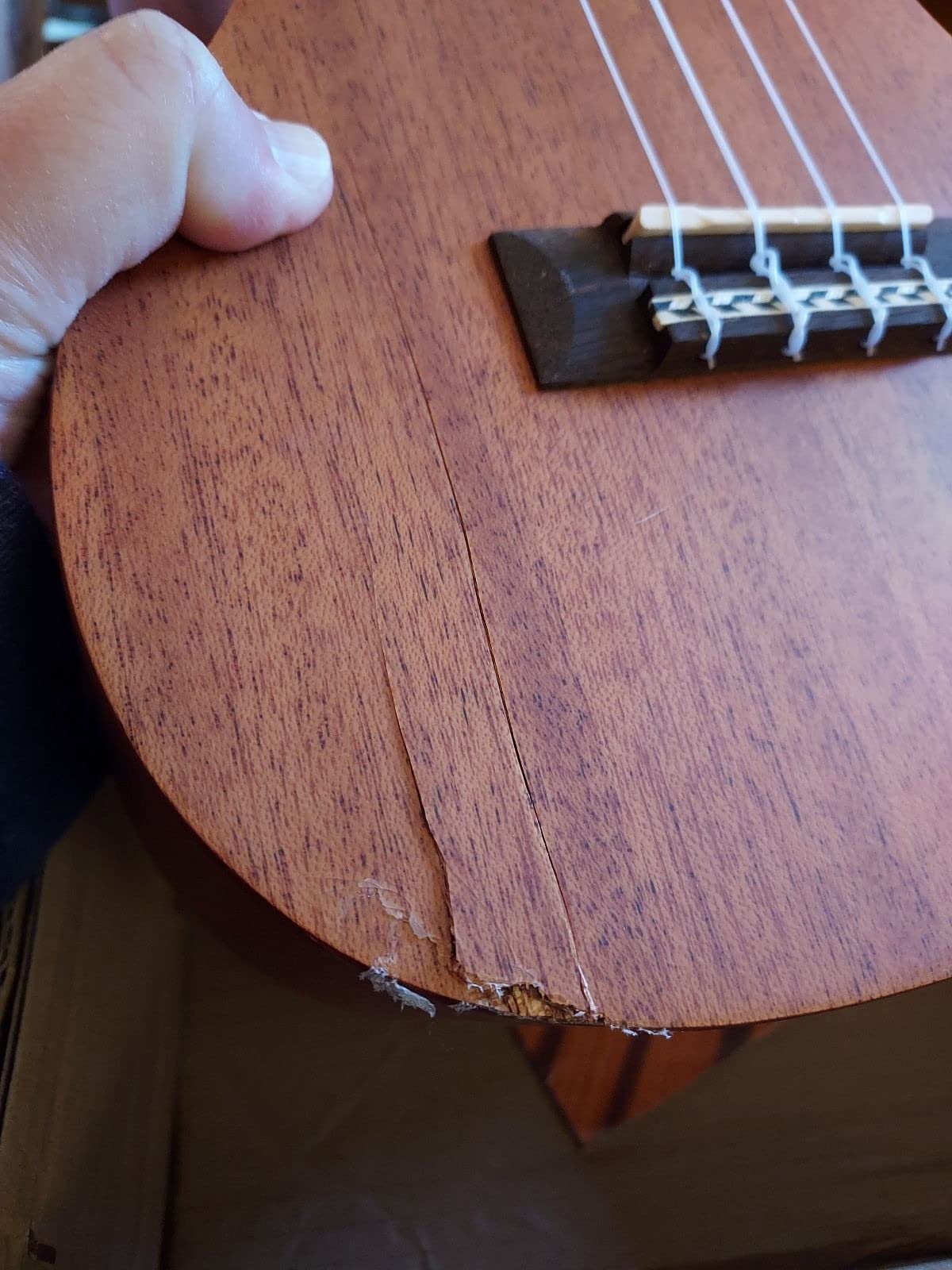 Cordoba 20CM Concert Ukelele customer photo 1