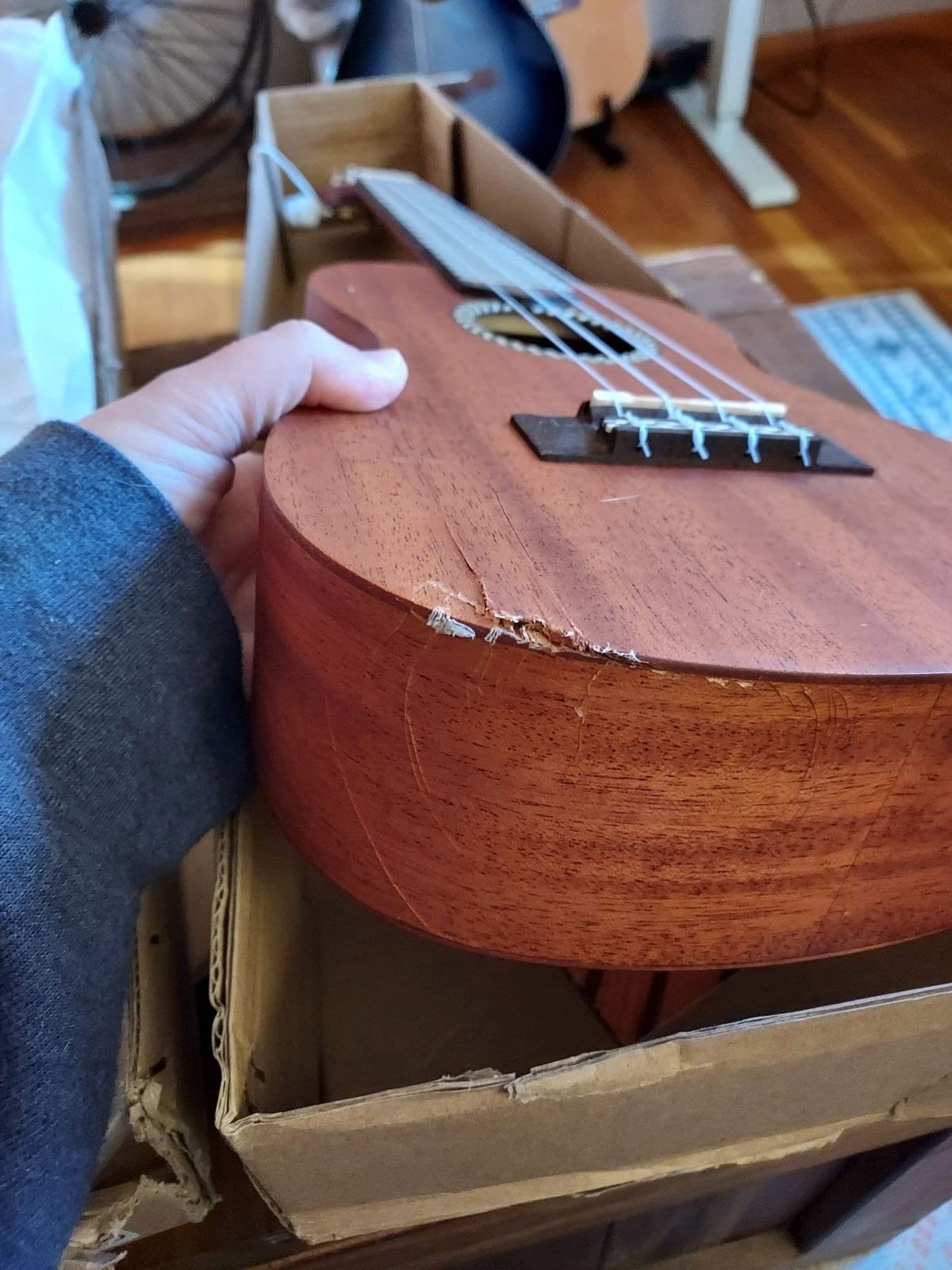 Cordoba 20CM Concert Ukelele customer photo 2