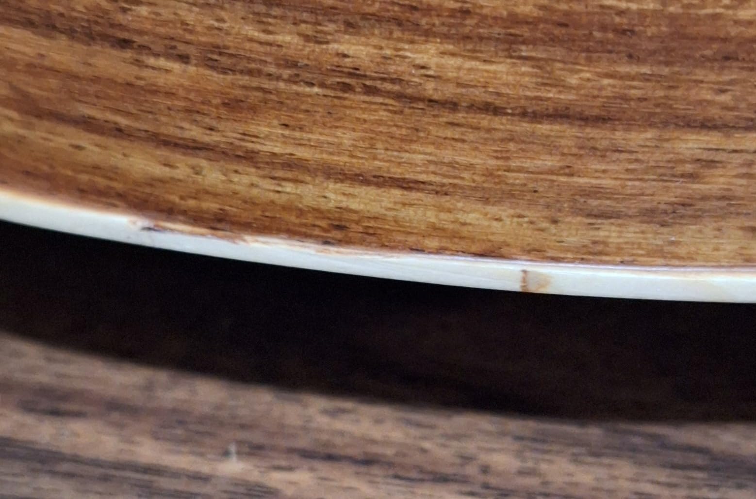 Emma Mountain Dulcimer 4-String Vaulted Fretboard Spruce F-Holes customer photo 2