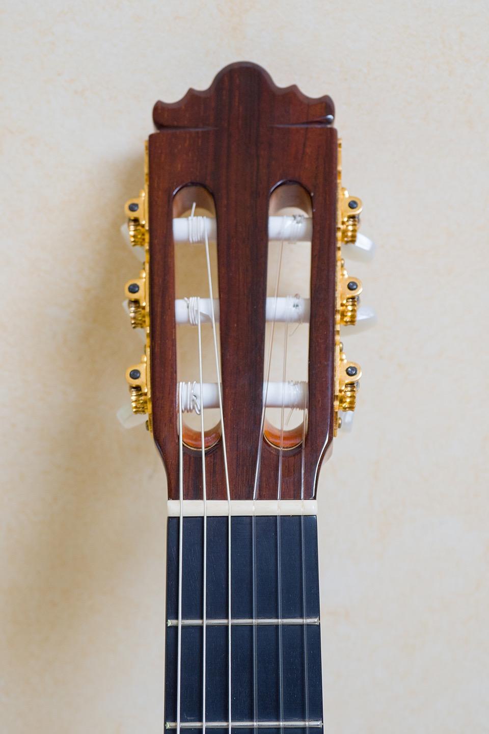 Gold Tone AC-6 Mini: Acoustic Composite Banjitar with Gig Bag customer photo 1