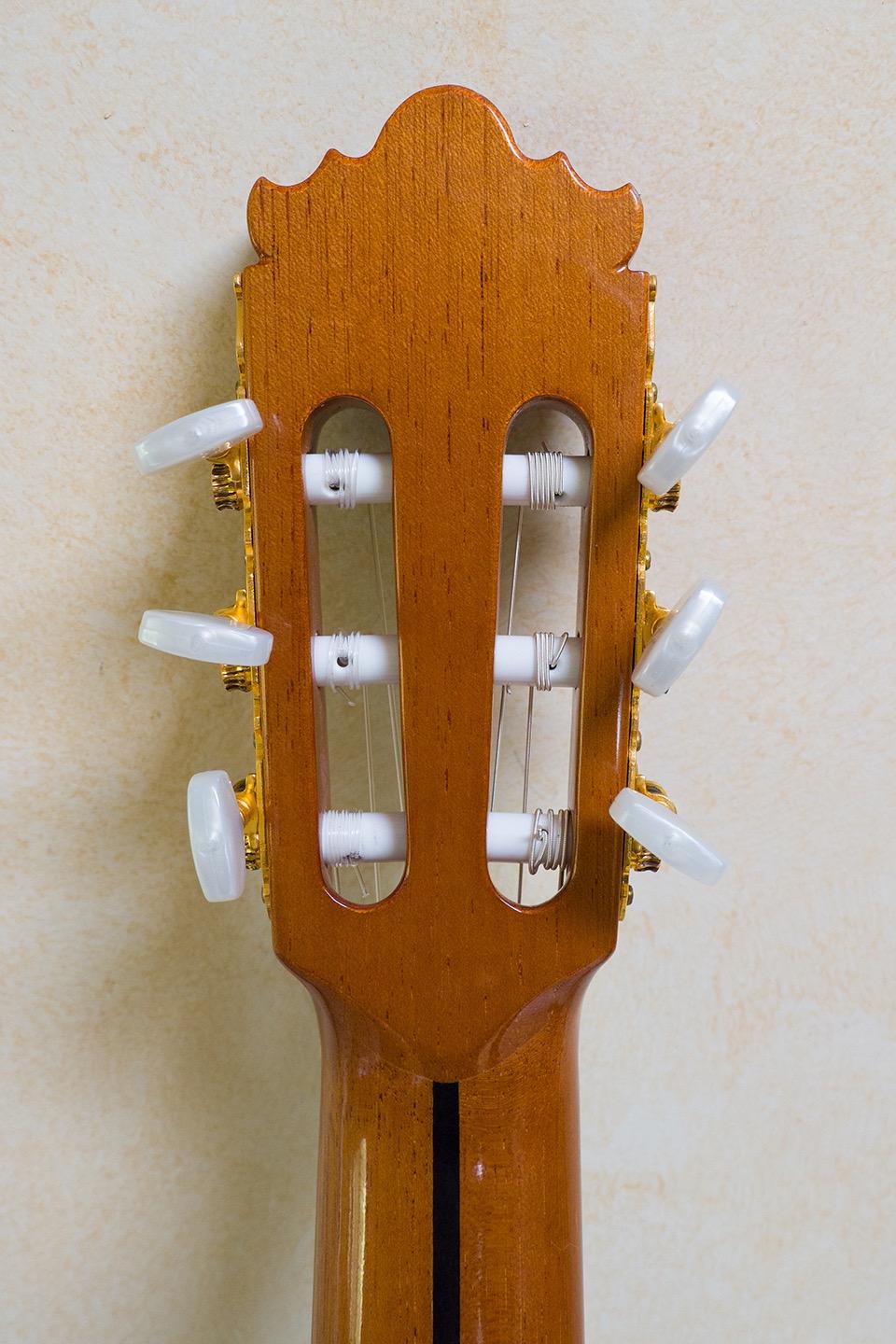 Gold Tone AC-6 Mini: Acoustic Composite Banjitar with Gig Bag customer photo 2