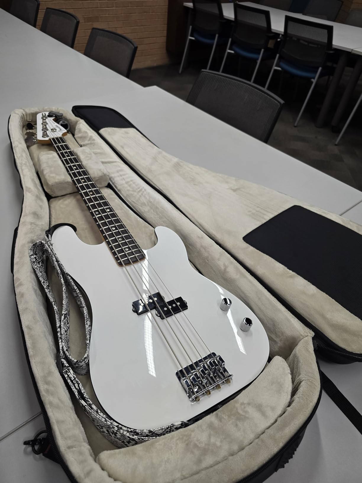 Gator Cases Pro-Go Series Ultimate Guitar Gig Bag, Fits Electric Bass Guitars (G-PG BASS) customer photo 1