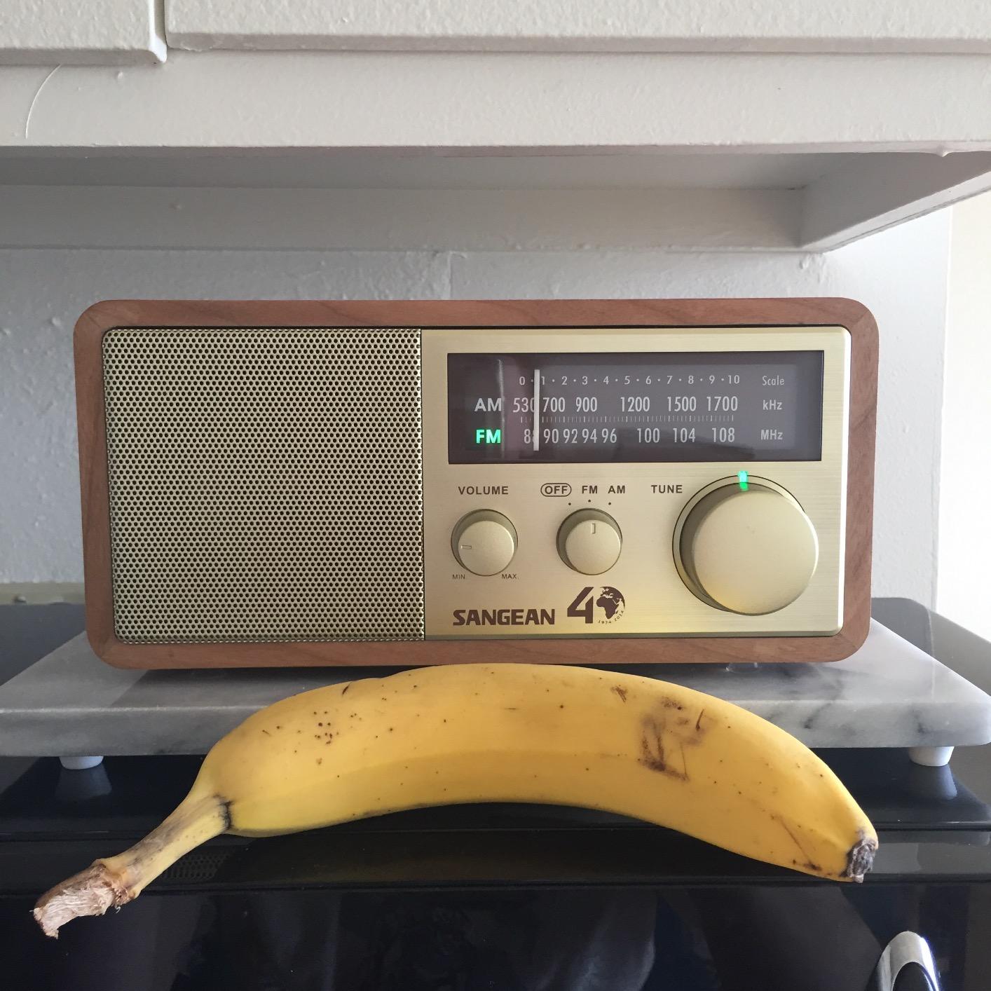 Sangean WR-11SE AM/FM Table Top Radio 40th Anniversary Edition Walnut customer photo 2