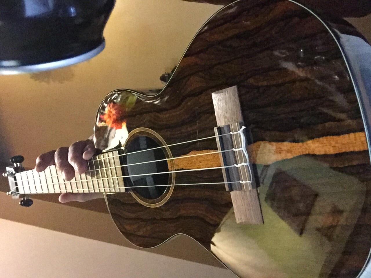 Kala KA-ZCT-T Ziricote Tenor Ukulele customer photo 1