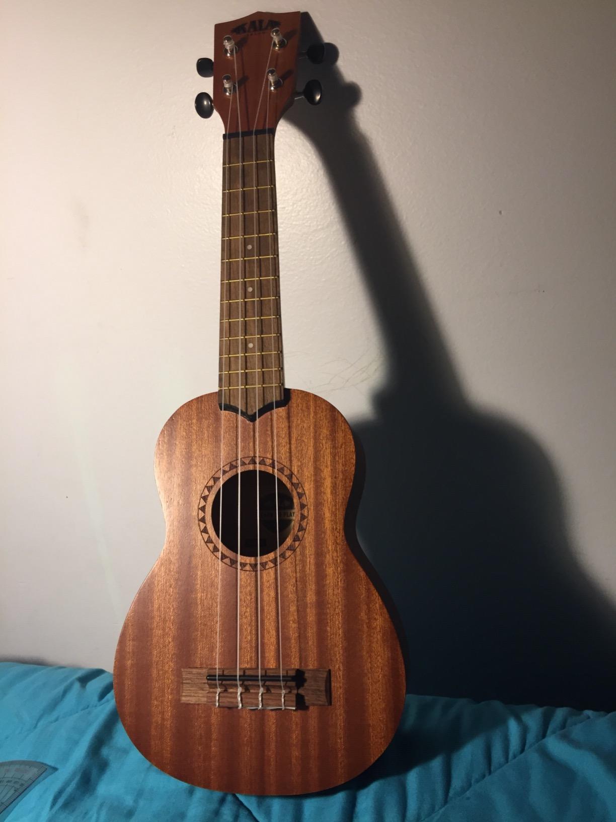 Kala LTP-S Learn to Play Mahogany Ukulele Starter Kit customer photo 1