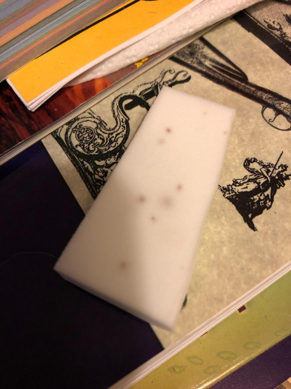 D'Addario Ukulele Humidifier Pro customer photo 1