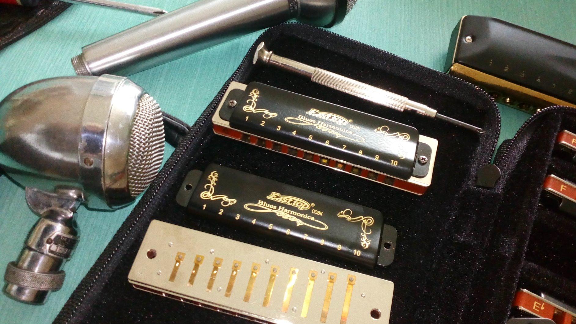 East top Diatonic Blues Harmonica Set of 12, 10 Holes Diatonic Mouth Organ Set, 12 Keys 008K Harmonicas set for Beginners and Professionals with Black Case customer photo 2