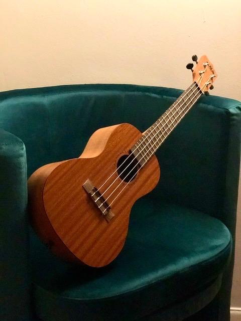 Kala Learn to Play Ukulele Concert Starter Kit, Satin Mahogany customer photo 1