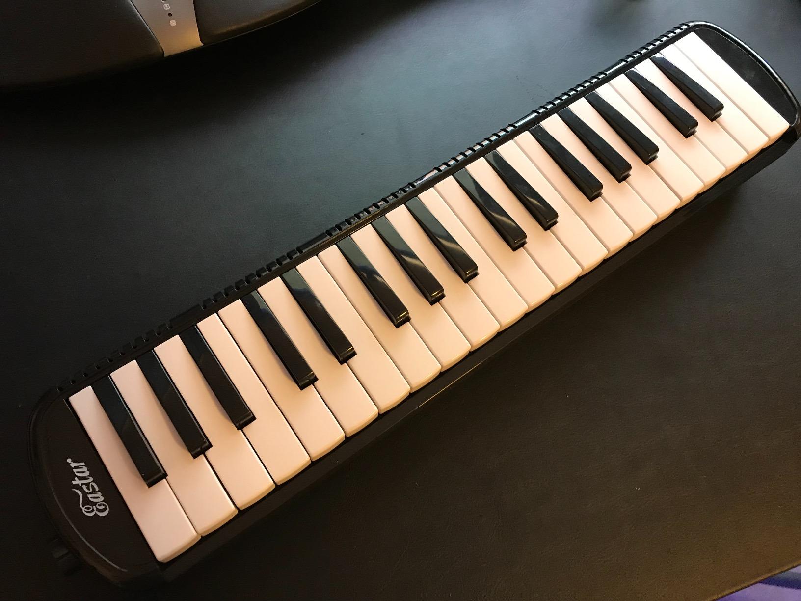Eastar 37 Key Melodica Instrument with Mouthpiece Air Piano Keyboard, Carrying Bag, Black customer photo 2