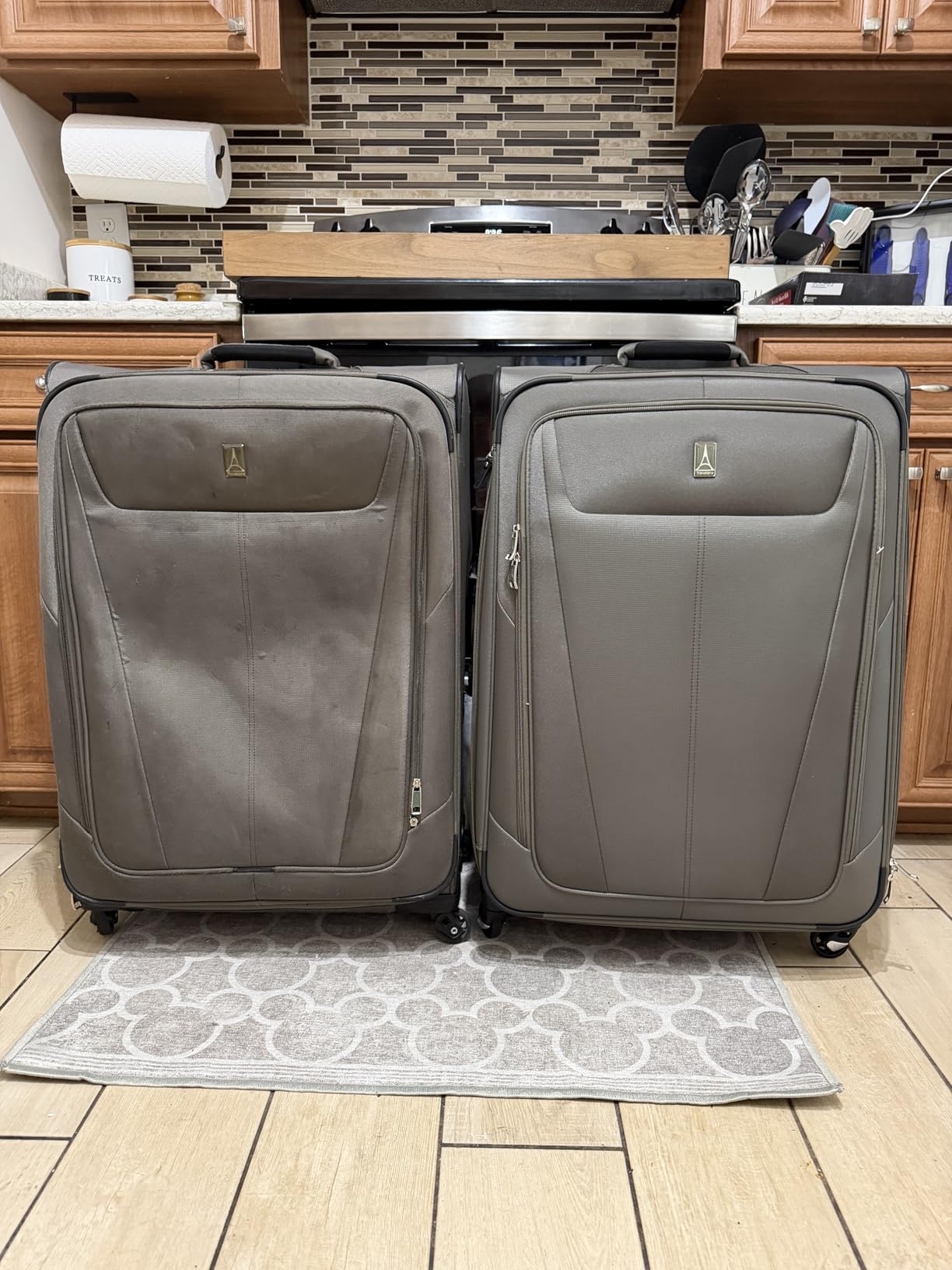 Travelpro Maxlite 5 Softside Carry-On Luggage Spinner, Black, 21-Inch | Expandable With 4 Wheels, Lightweight & Versatile Travel Design, Men & Women customer photo 2