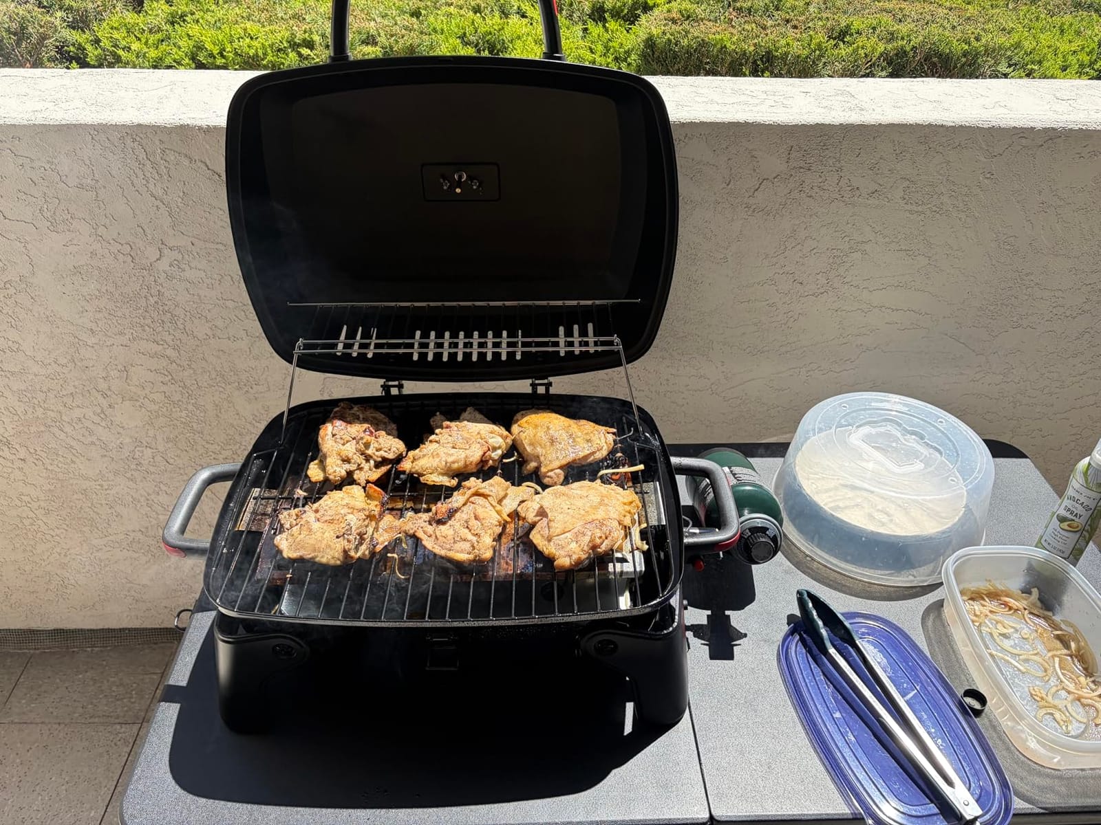 Megamaster Tabletop 1 Burner Gas Grill, Foldable Legs with Warming Rack | Offers 11000 BTU, Built-In Thermometer, Push Ignition, 360 Sq In Cooking Space, Uses 1 Lb Propane, For Camping & Tailgating customer photo 1