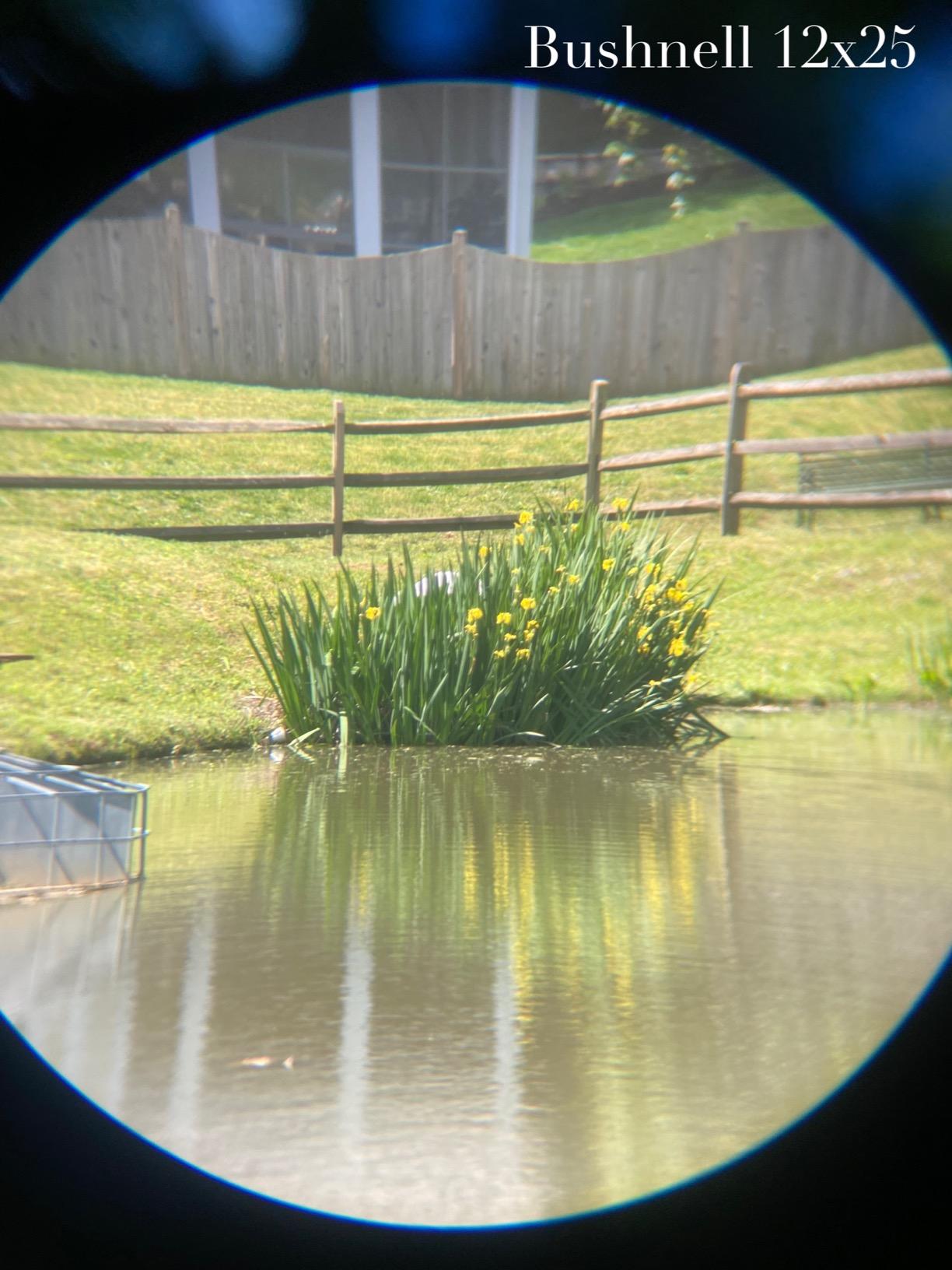 12x42 Binoculars for Adults High Powered with Phone Adapter & Tripod customer photo 2