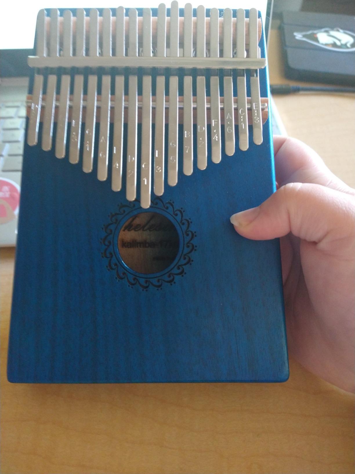Kalimba Thumb Piano 17 Keys with mahogany Wood Portable Mbira Finger Piano Gifts for Friends and piano Beginners Professional (Matte brown) customer photo 2