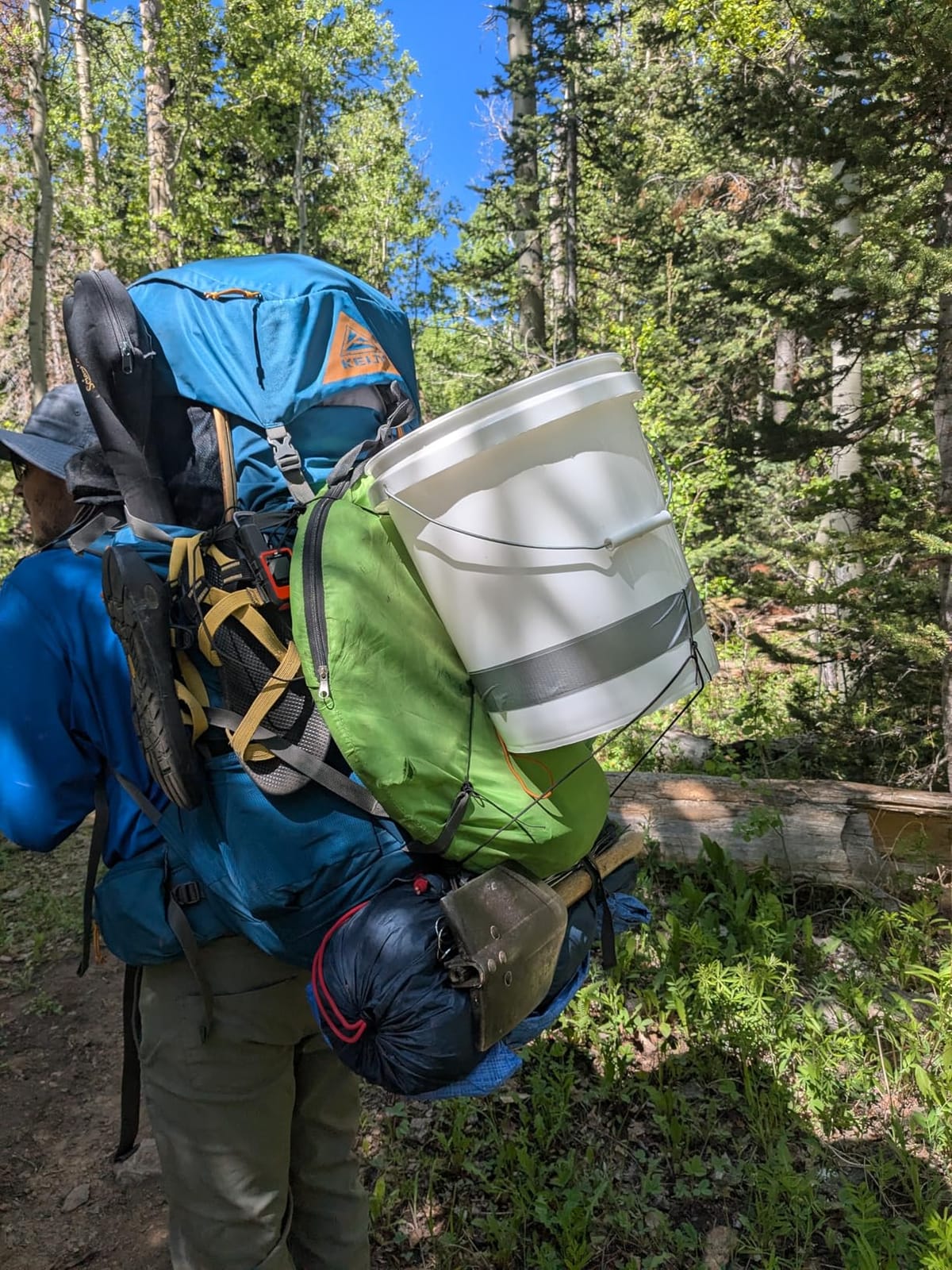 Kelty Coyote 60-105 Liter Internal Frame Backpack - Hiking, Backpacking, Travel, Hydration Compatible, Fully Adjustable (65L) customer photo 1