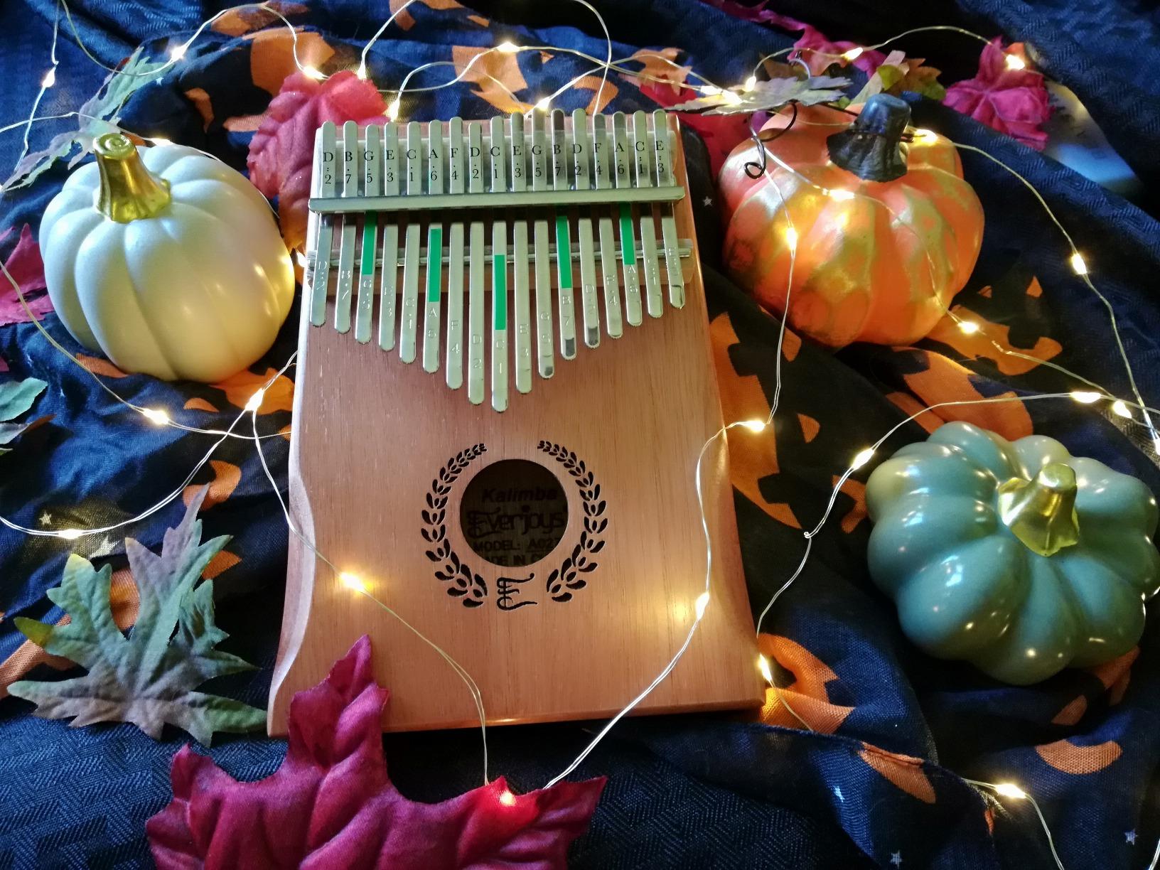 Everjoys Kalimba Thumb Piano 17 Keys, Professional Musical Instrument Finger Piano Marimbas with Portable Soft Cloth Bag, Fast to Learn Songbook, Tuning Hammer, All in One Kit customer photo 1