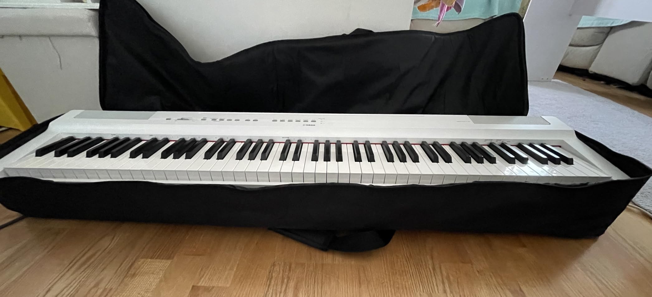 AKOZLIN 88 Keys Portable Padded Keyboard Case,Dimension 54.1