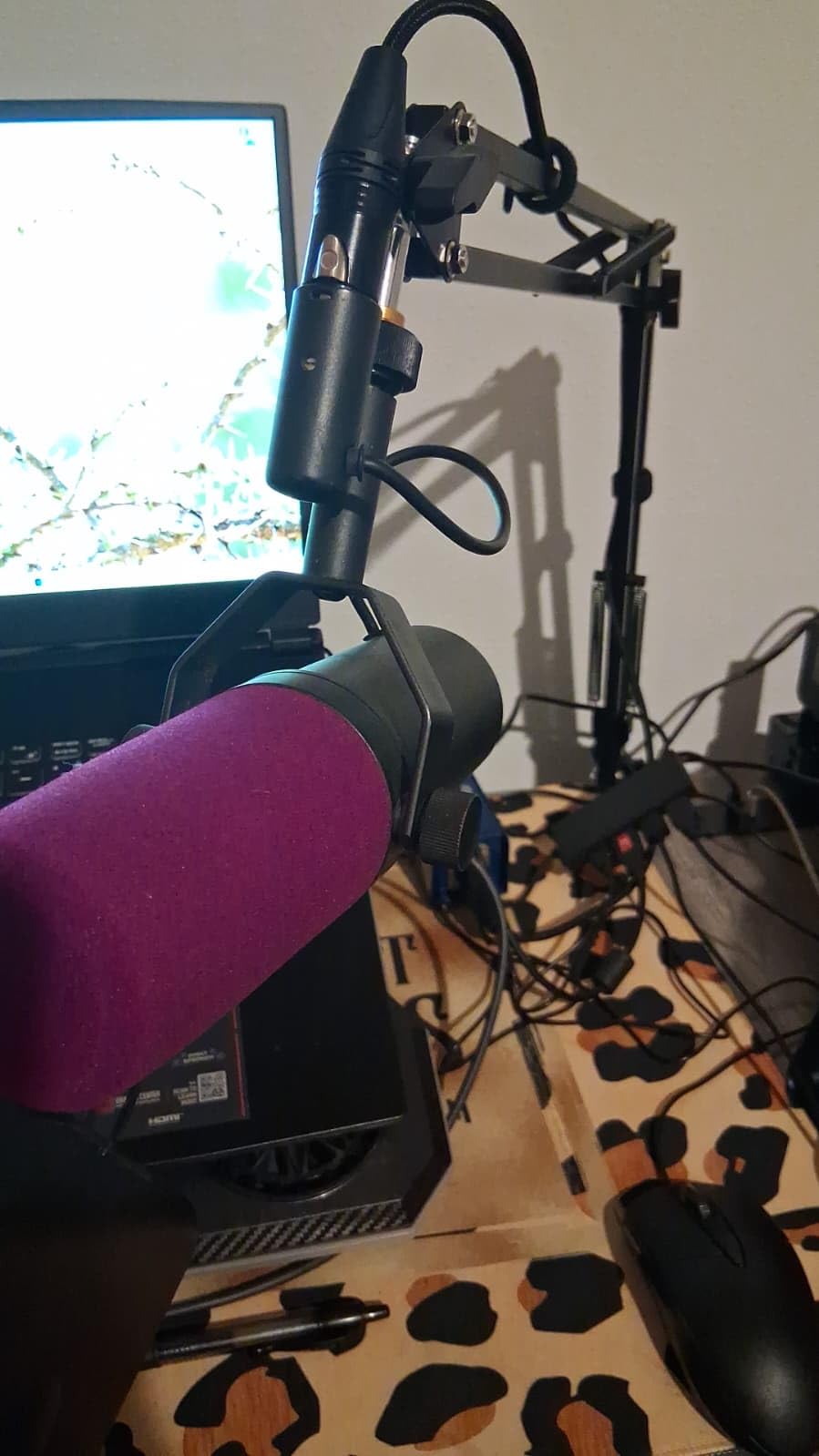 QuadCast Boom Arm, Mic Arm for Blue Yeti HyperX QuadCast SoloCast Fifine AM8 and Most Microphone, Mic Stand Desk with 3/8 to 5/8 Adapter by SUNMON customer photo 1