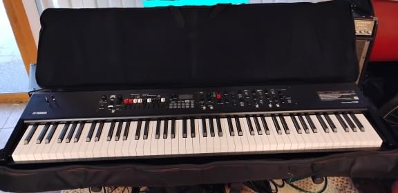 Roland Versatile Carrying Bag for Portable 88-Note Keyboard (CB-B88V2) customer photo 2