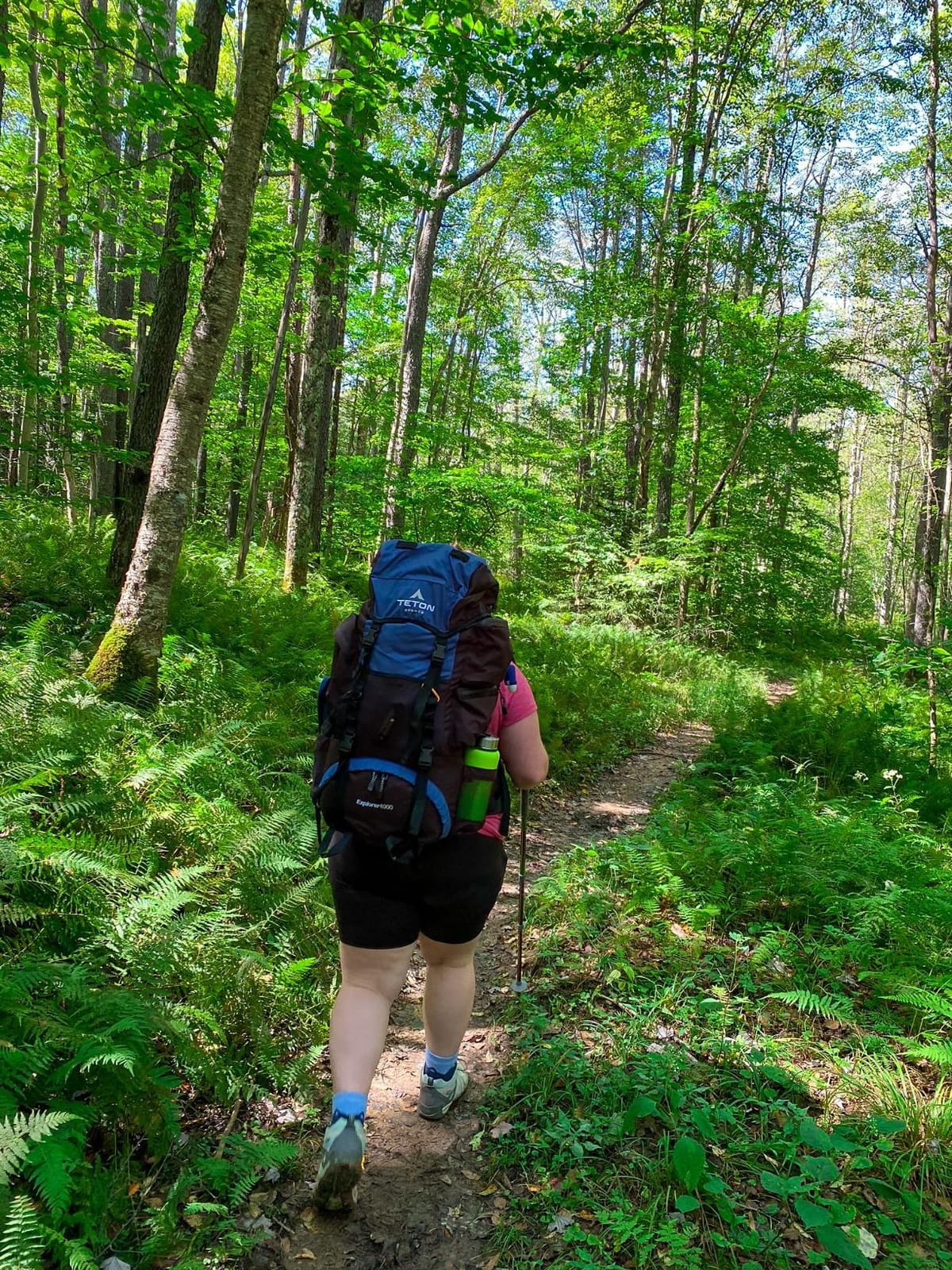 Teton 65L Explorer Internal Frame Backpack for Hiking, Camping, Backpacking, Rain Cover Included customer photo 1