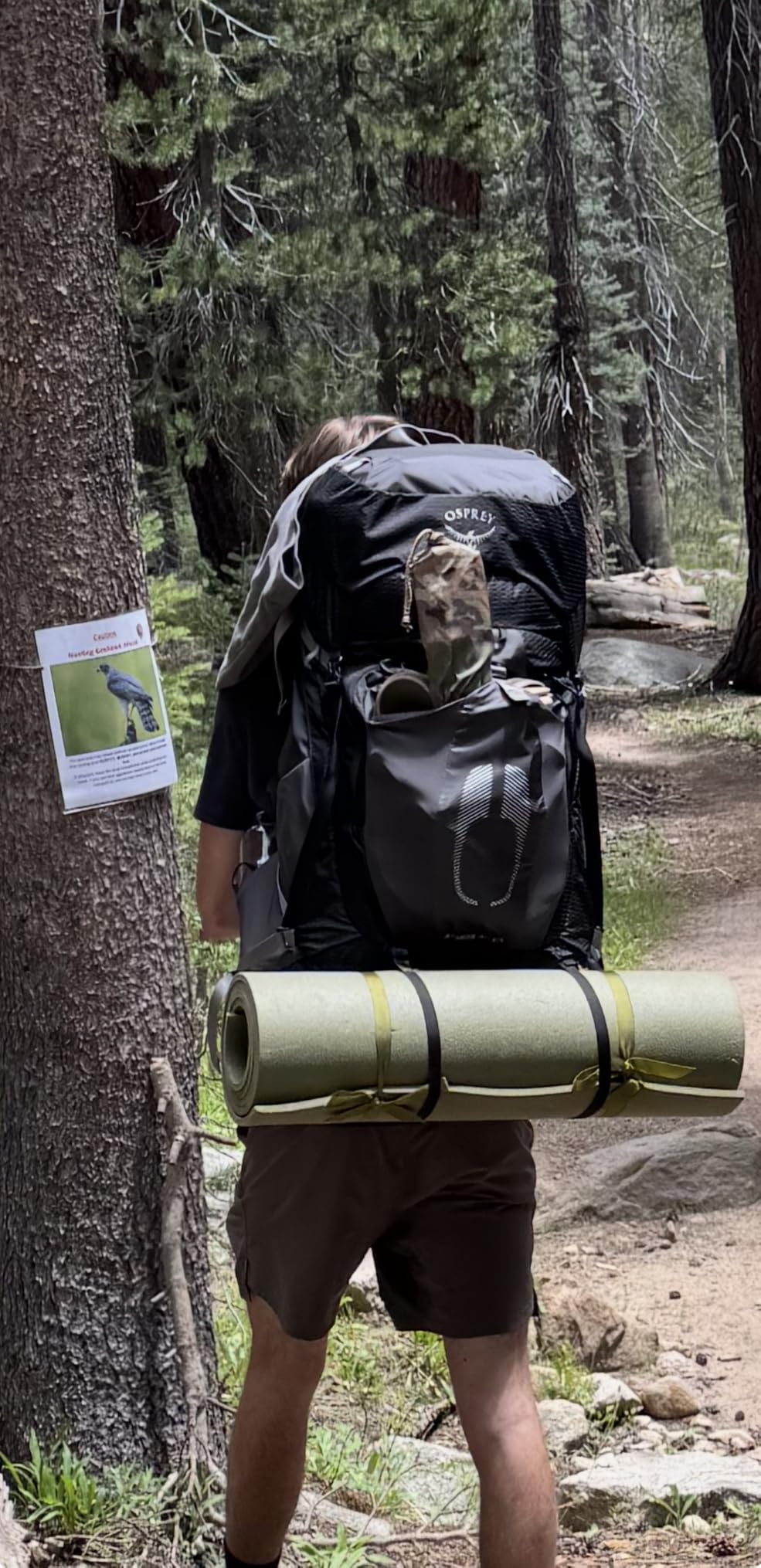 Osprey Atmos AG 65L Men's Backpacking Backpack customer photo 2