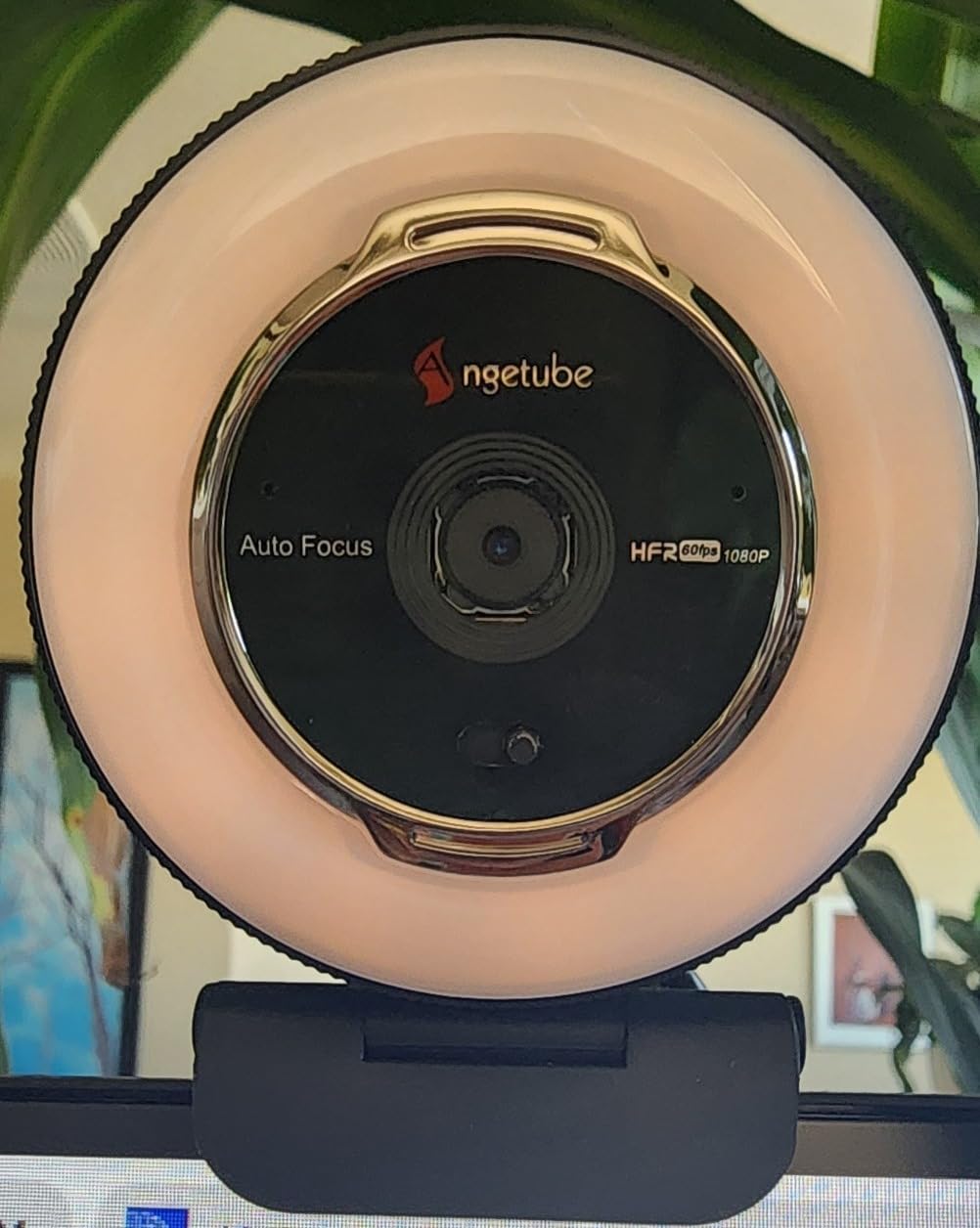 Angetube Streaming Webcam with Microphone, USB 1080P Web Cam w/Ring Light customer photo 1