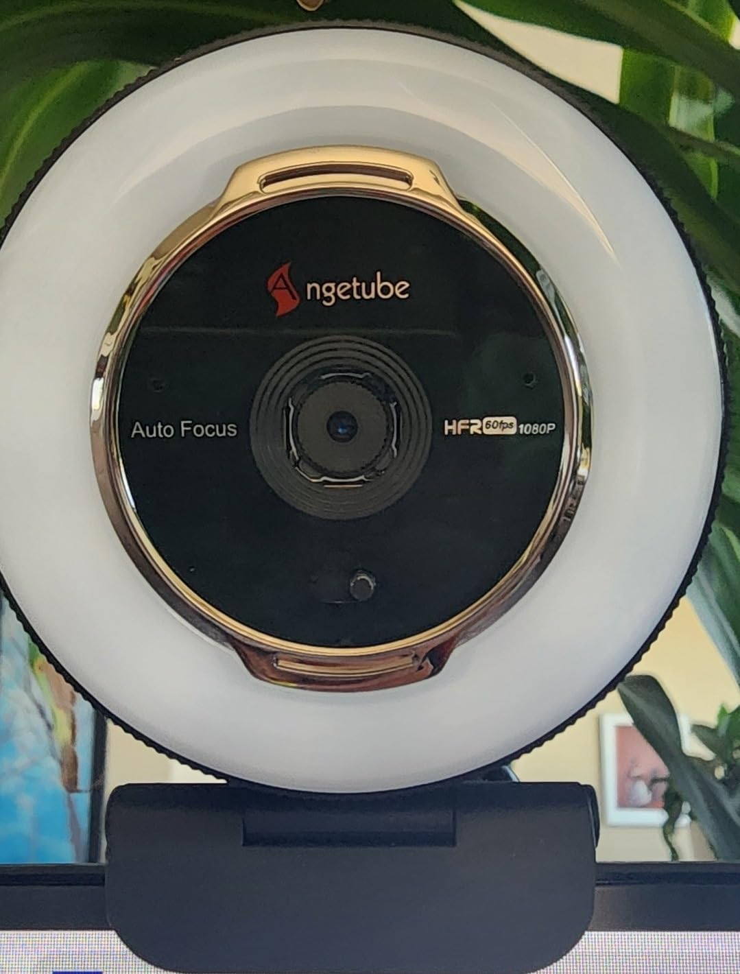 Angetube Streaming Webcam with Microphone, USB 1080P Web Cam w/Ring Light customer photo 2