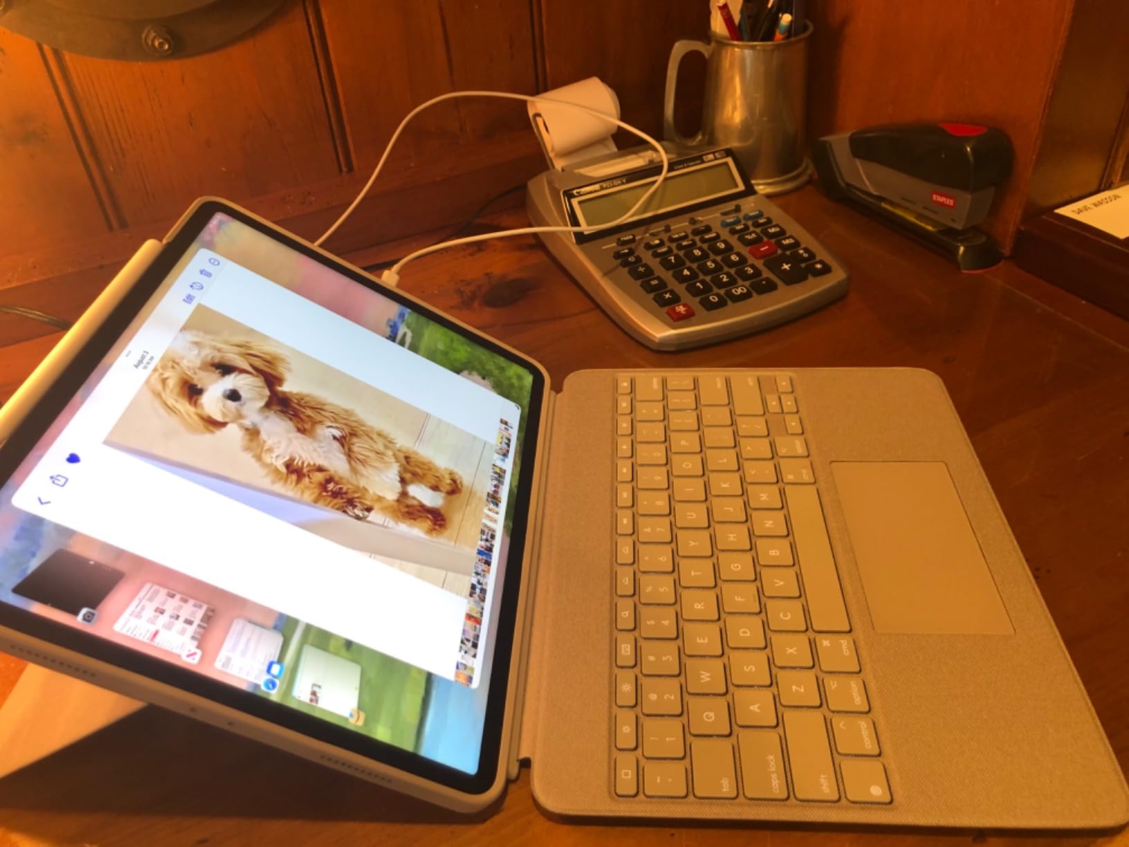 Apple iPad Pro (6th Generation, 12.9-inch, 2022), 256GB, Wi-Fi + Cellular, Space Gray (Renewed) customer photo 1