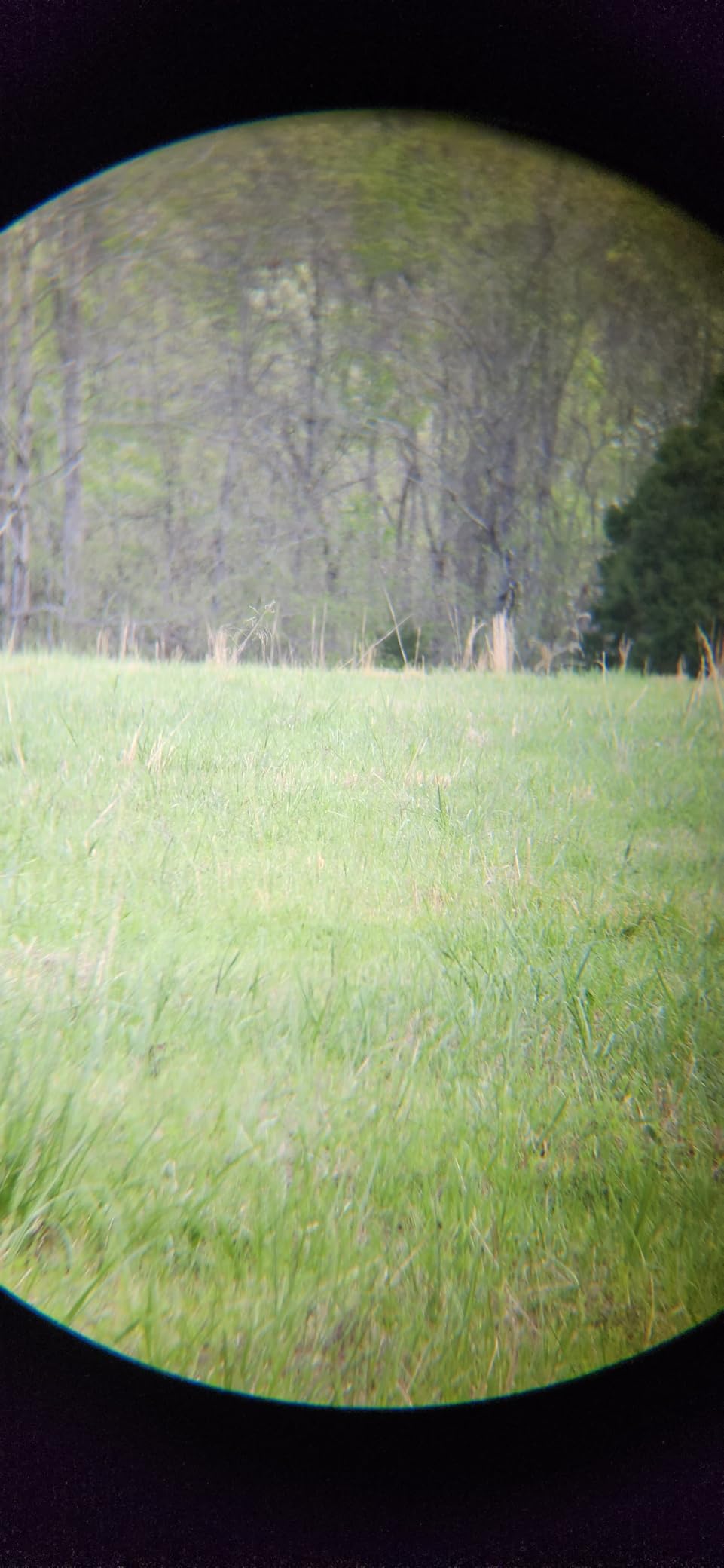 Vortex Triumph HD 10x42 Binoculars customer photo 1