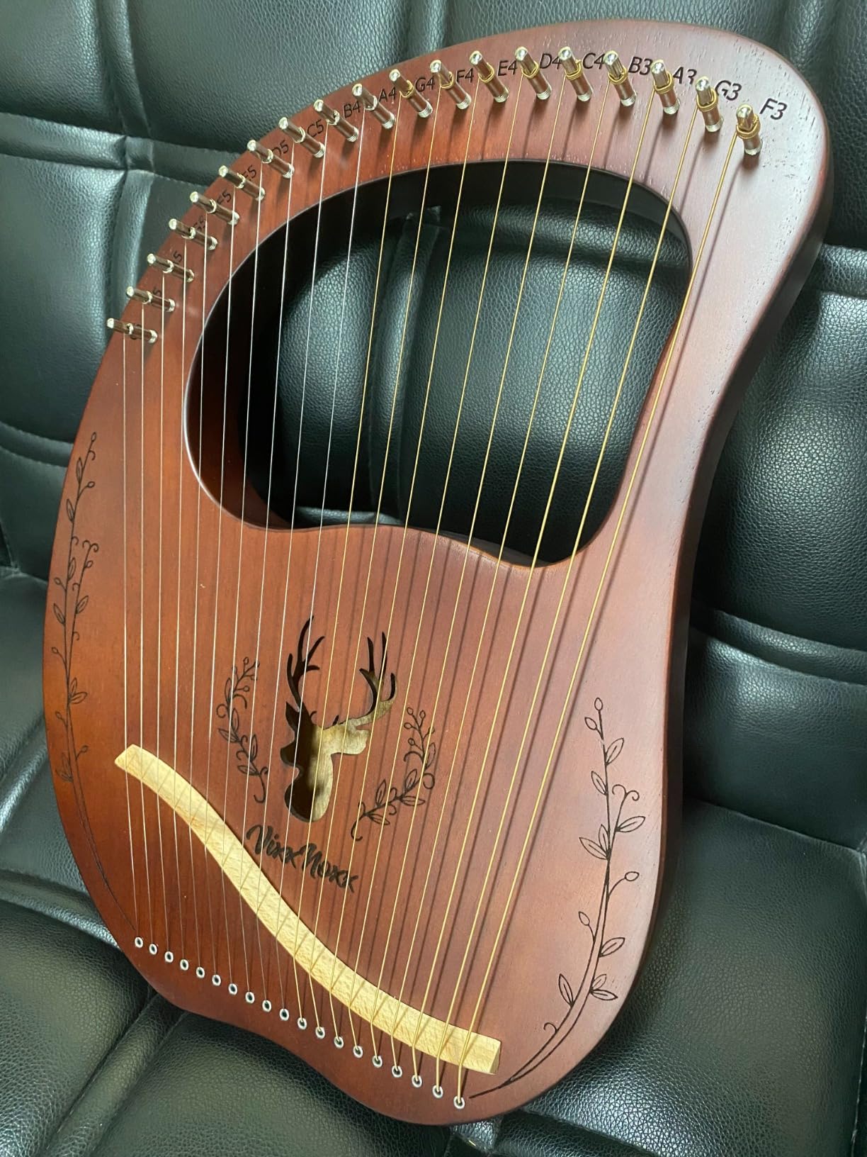 19-String Lyre Harp, Mahogany Stringed Musical Instrument Kit with Tuning Wrench, Bag, Instructions, Extra Strings for Beginners Adults customer photo 2