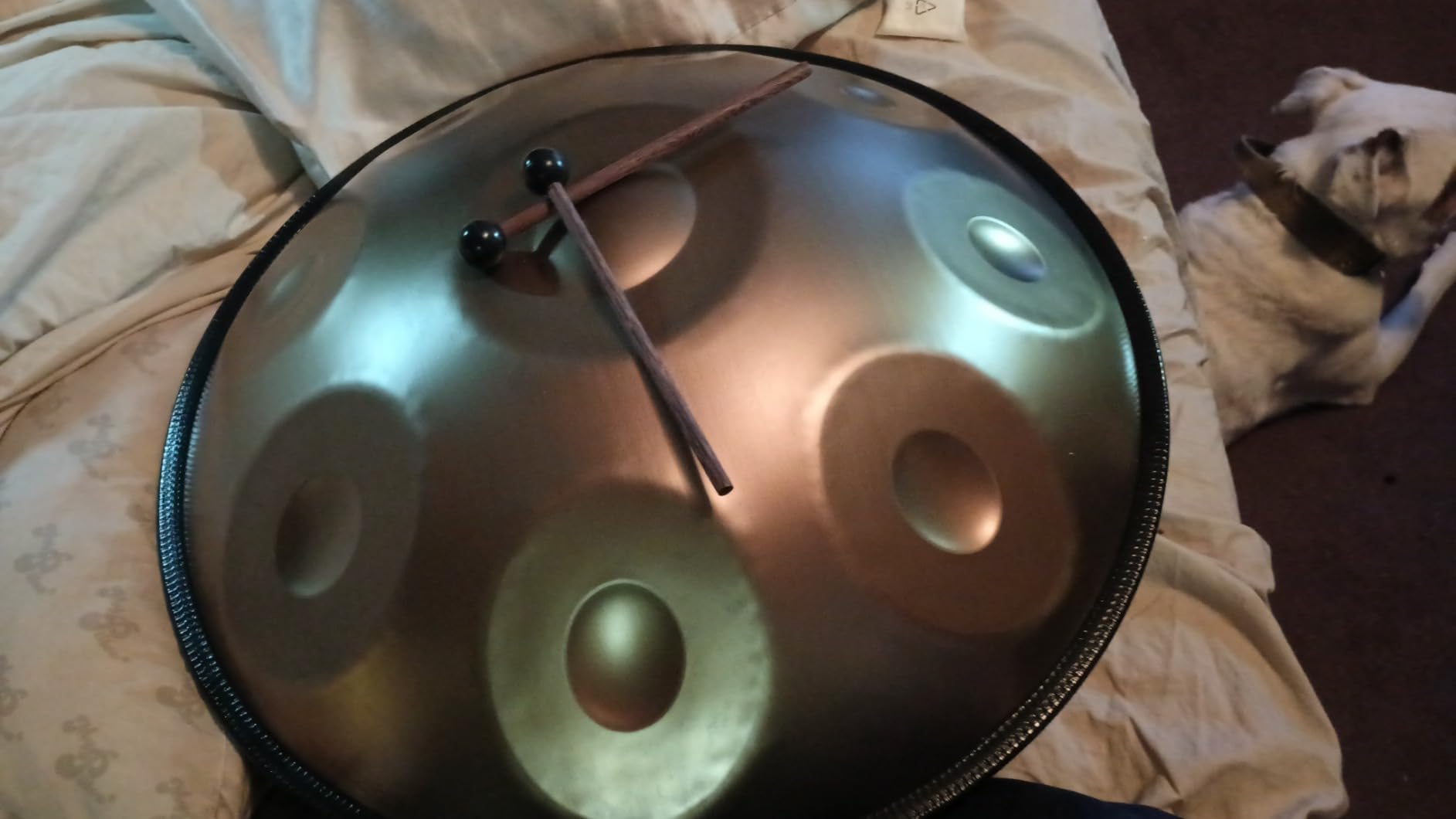 GLADFRESIT Handpan 18-inch 9-Note 440Hz G Minor (Mini Gold) - Includes Stand, Handpan Bag, 2 Beaters & Dust Cloth customer photo 1