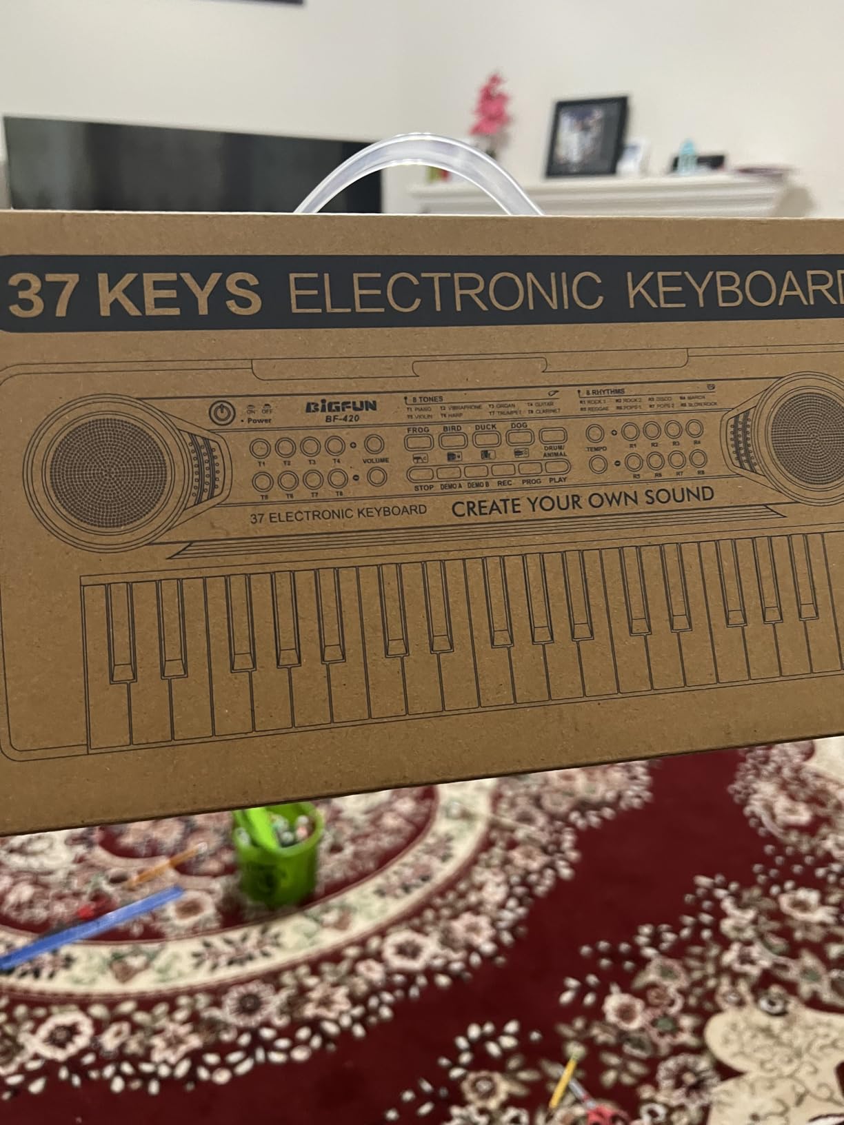 Raimy 37 Keys Electronic Keyboard Piano for Kids 3 4 5 6 7 8 9 Year Old | Early Learning Educational Portable Musical Instrument Toys, Birthday Gifts for Boys and Girls Beginner (Black) customer photo 2