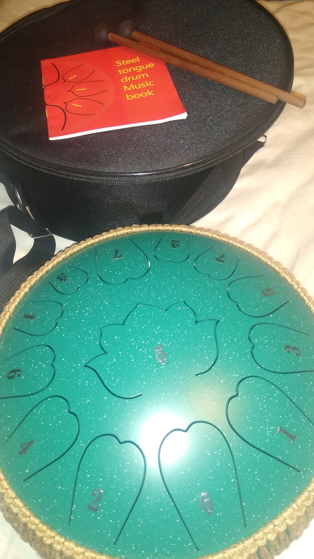 Steel Tongue Drum - 12-Inch 13-Notes Tongue Drum, C Major Outdoor Rain Drum with Music Book, Handpan Drums Mallets and Carry Bag (Green) customer photo 1
