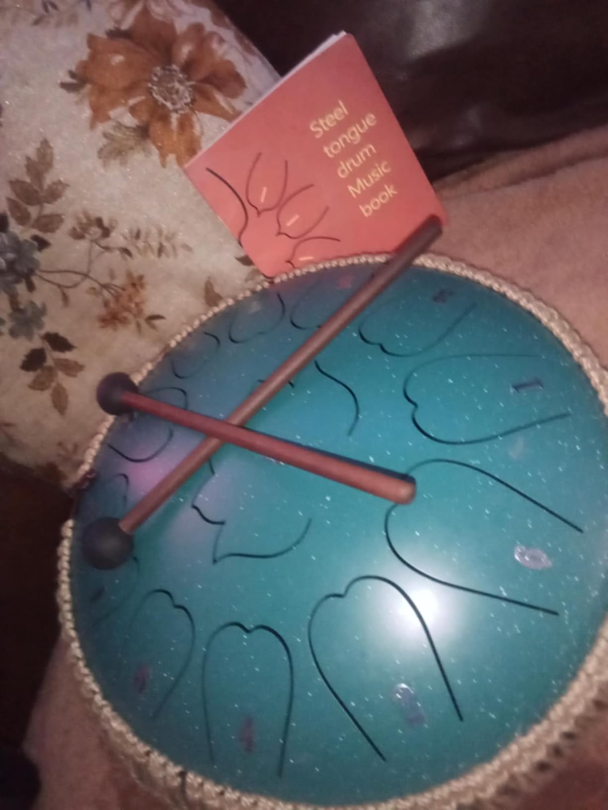 Steel Tongue Drum - 12-Inch 13-Notes Tongue Drum, C Major Outdoor Rain Drum with Music Book, Handpan Drums Mallets and Carry Bag (Green) customer photo 2