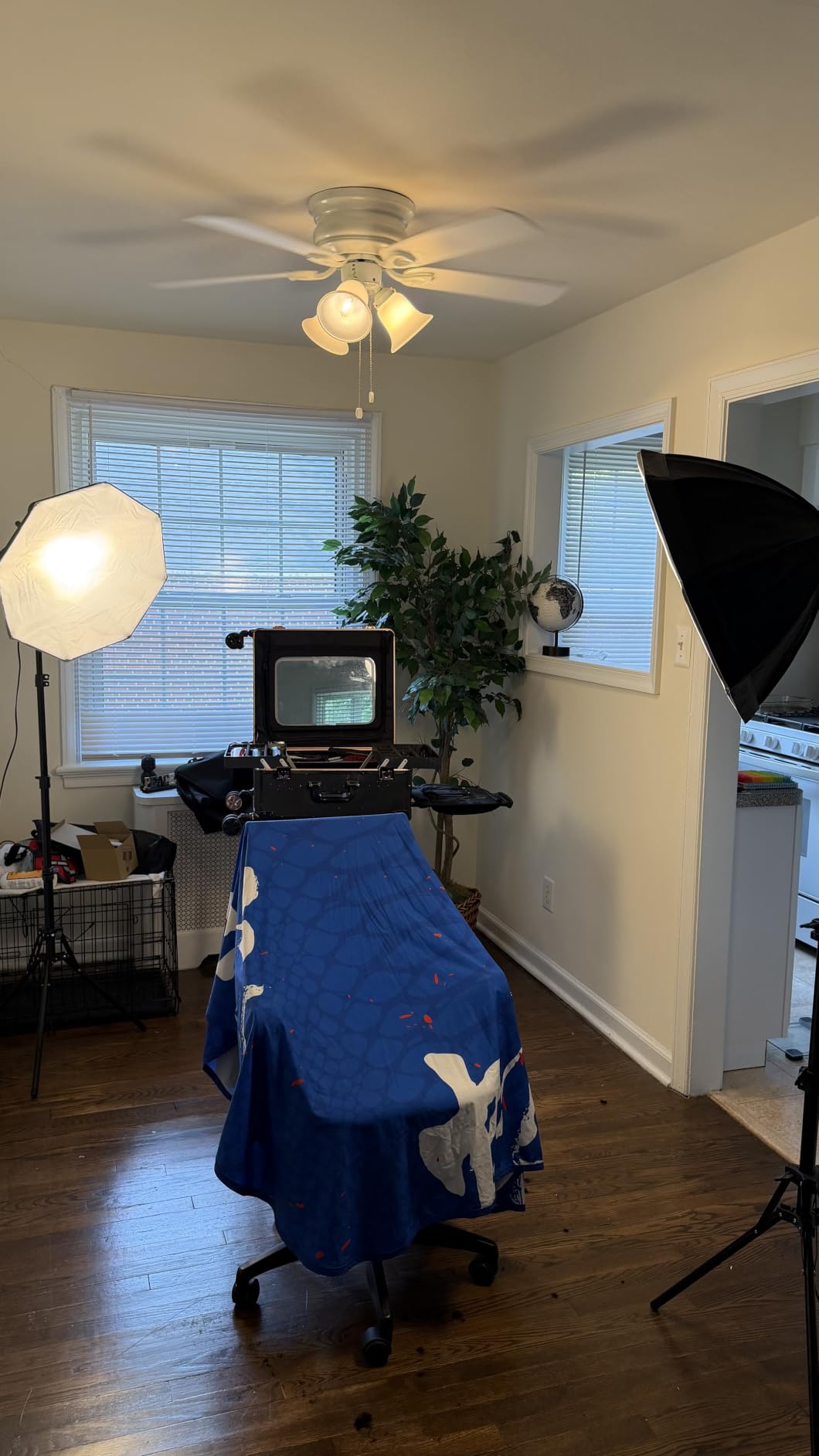 UBeesize Softbox Photography Lighting Kit, 20'' x 20'' Professional Softbox Lighting Kit with 85W 3000-7500K LED Bulbs, Studio Lights for Photography/Live Streaming/Video Recording customer photo 1